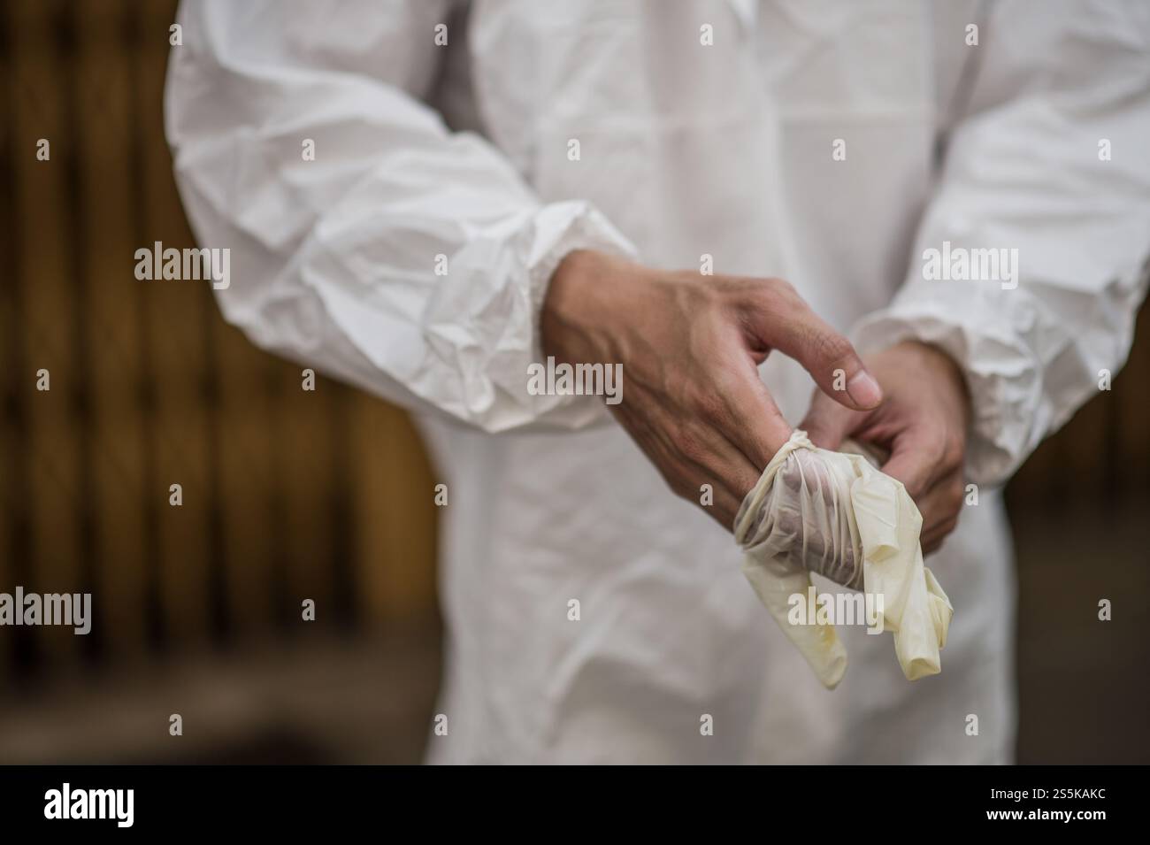 Fermez les mains d’un homme en costume d’équipement de protection individuelle (EPI) enlevant les gants après avoir travaillé pour enlever le covid-19. Banque D'Images