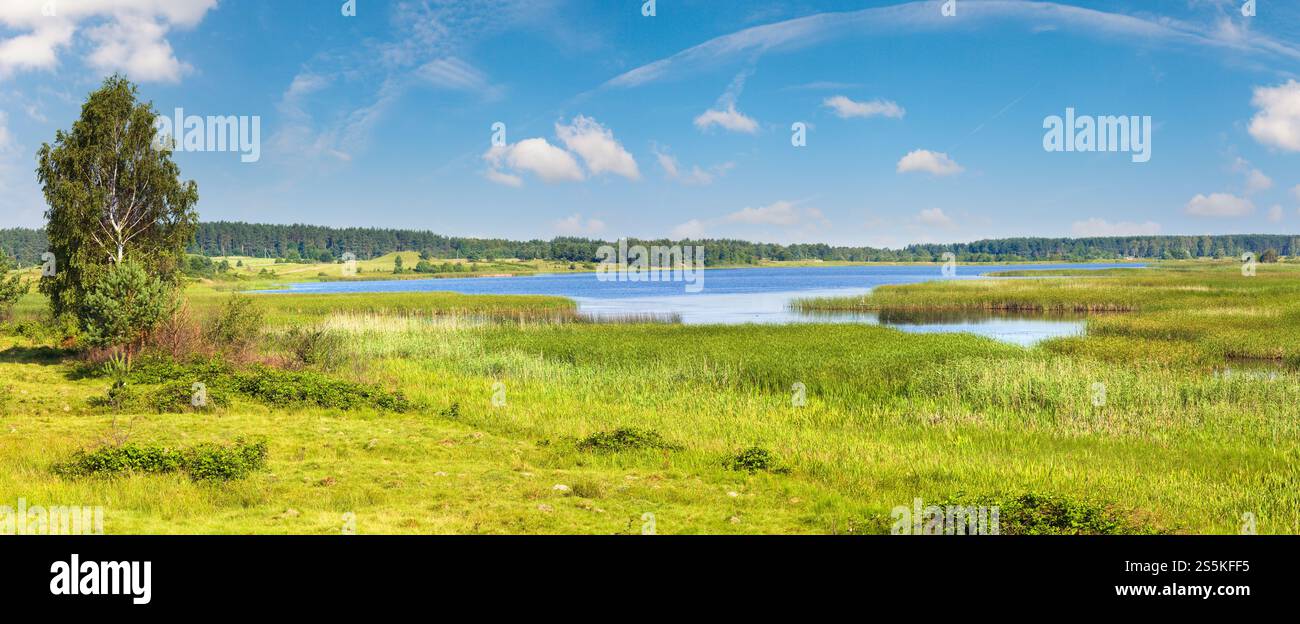 Vue estivale sur le lac avec petit bosquet sur la rive opposée. Banque D'Images