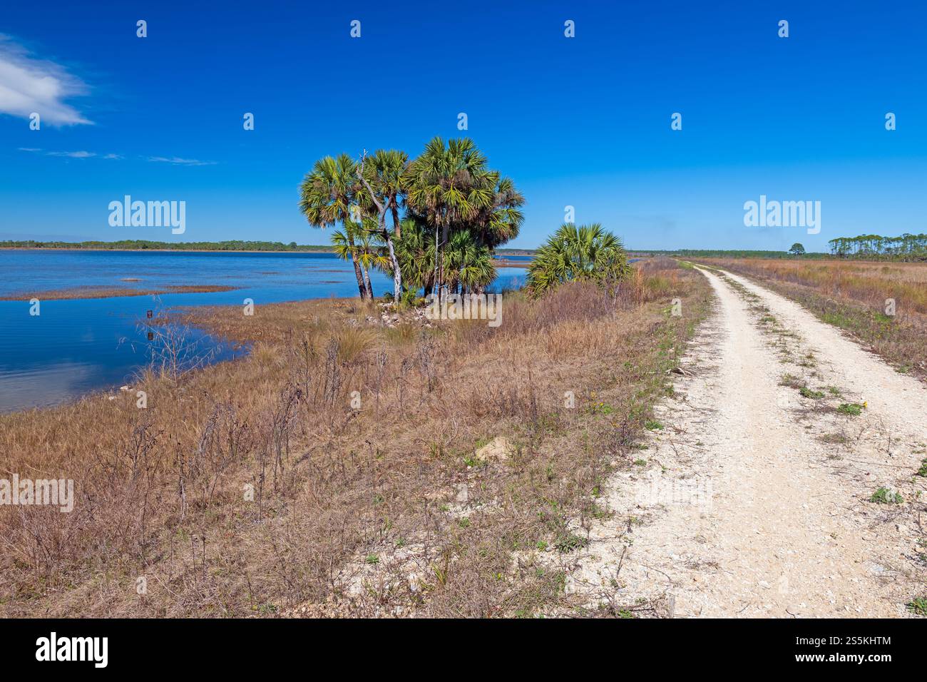 Route et digue à travers un refuge faunique dans le refuge national de St Marks Willdife en Floride Banque D'Images