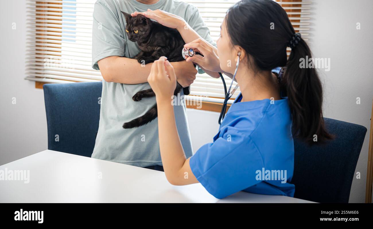 Vétérinaire professionnel aide le chat. chat propriétaire tenant l'animal sur les mains. Chat sur la table d'examen de la clinique vétérinaire. Soins vétérinaires. Médecin vétérinaire et Banque D'Images