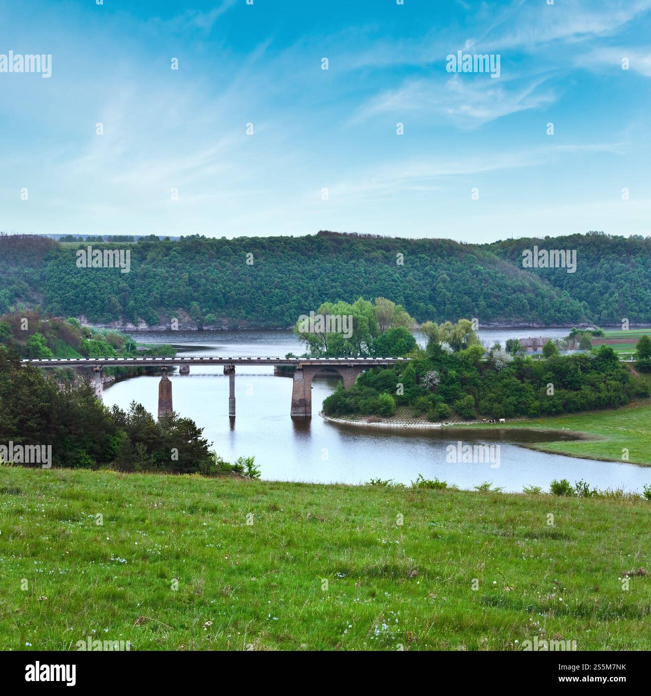 Paysage de campagne de printemps avec rivière (Carpathian, Ukraine). Banque D'Images
