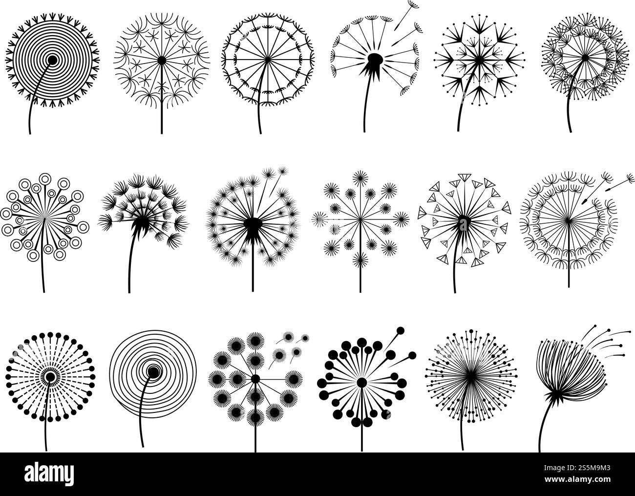 Silhouettes de pissenlits. Illustrations à base de plantes fleurs décoration concept illustrations botaniques vectorielles. Silhouette noire de pissenlit de fleur d'été. Silhouettes de pissenlits. Illustrations à base de plantes fleurs décoration concept illustrations botaniques vectorielles Illustration de Vecteur