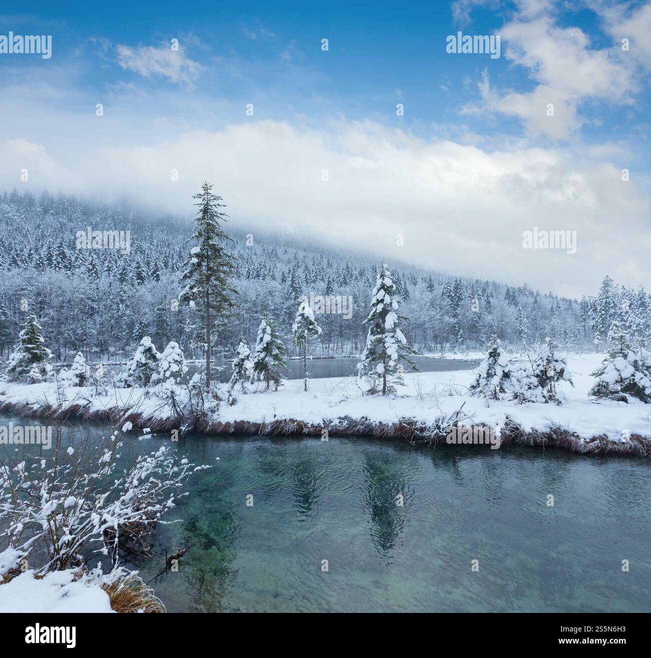 Petit cours d'hiver avec snowy trees sur banque. Banque D'Images