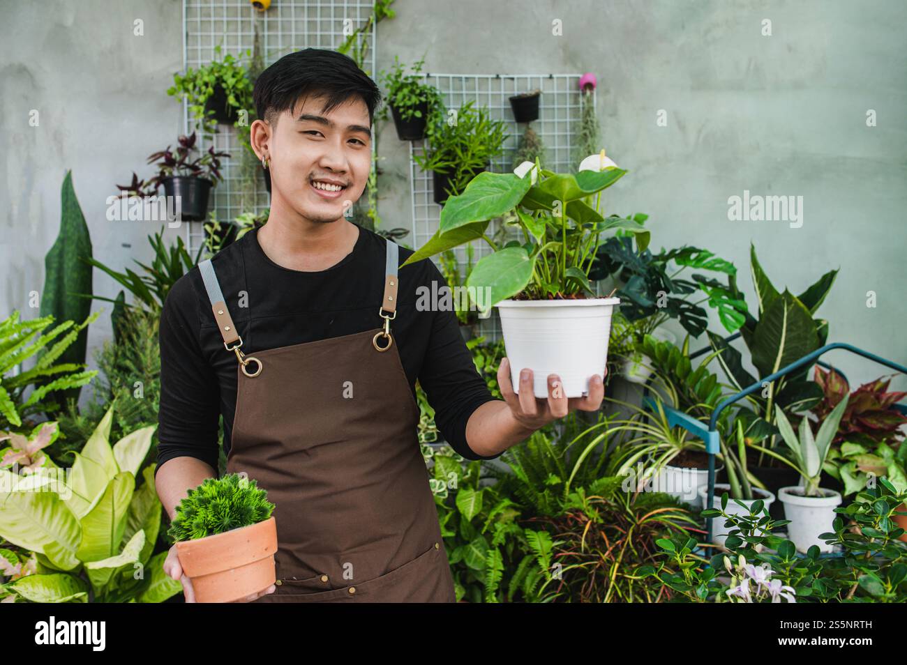 Portrait jeune homme jardinier asiatique debout et tenir deux belles plantes d'intérieur dans les mains, il sourit et regarde plante avec heureux Banque D'Images