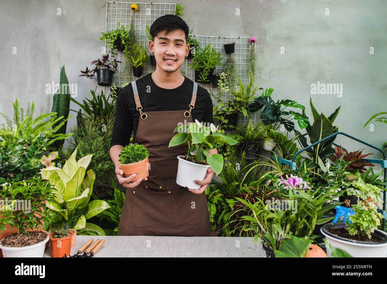 Portrait jeune homme jardinier asiatique debout et tenir deux belles plantes d'intérieur dans les mains, il sourit et regarde à la caméra Banque D'Images