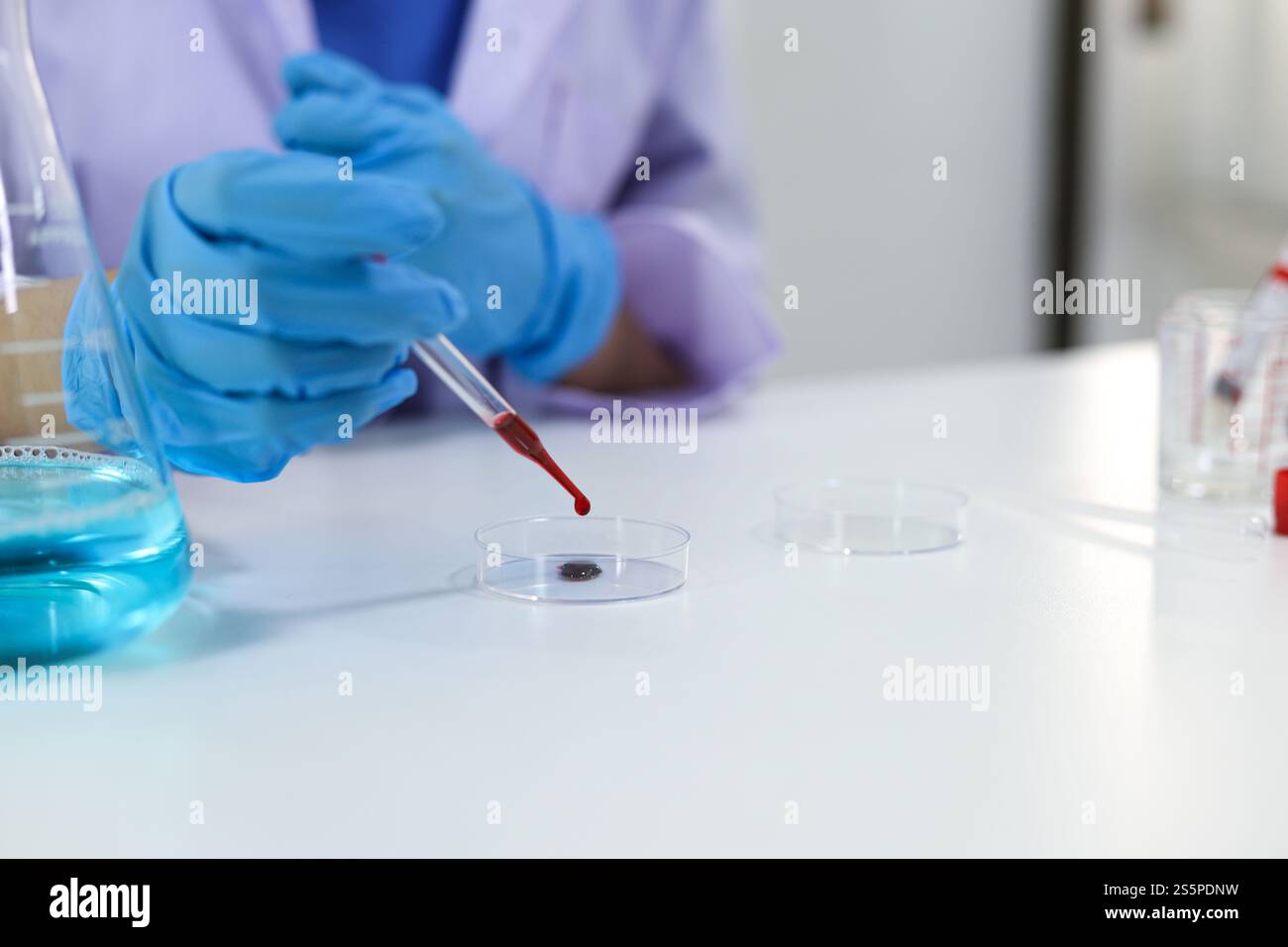 Scientifique tenant un tube de prélèvement sanguin infecté par le coronavirus covid-19. Analyse ADN du sang en laboratoire avec des tubes de prélèvement de sang et Banque D'Images