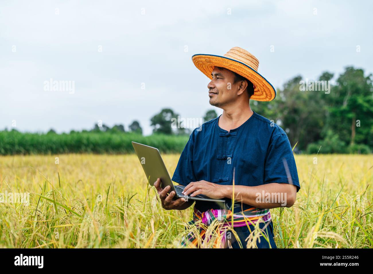 Homme fermier asiatique d'âge moyen avec Smart Farming technologie agricole et agriculture biologique, en utilisant un ordinateur portable pour la recherche dans le champ de riz Banque D'Images