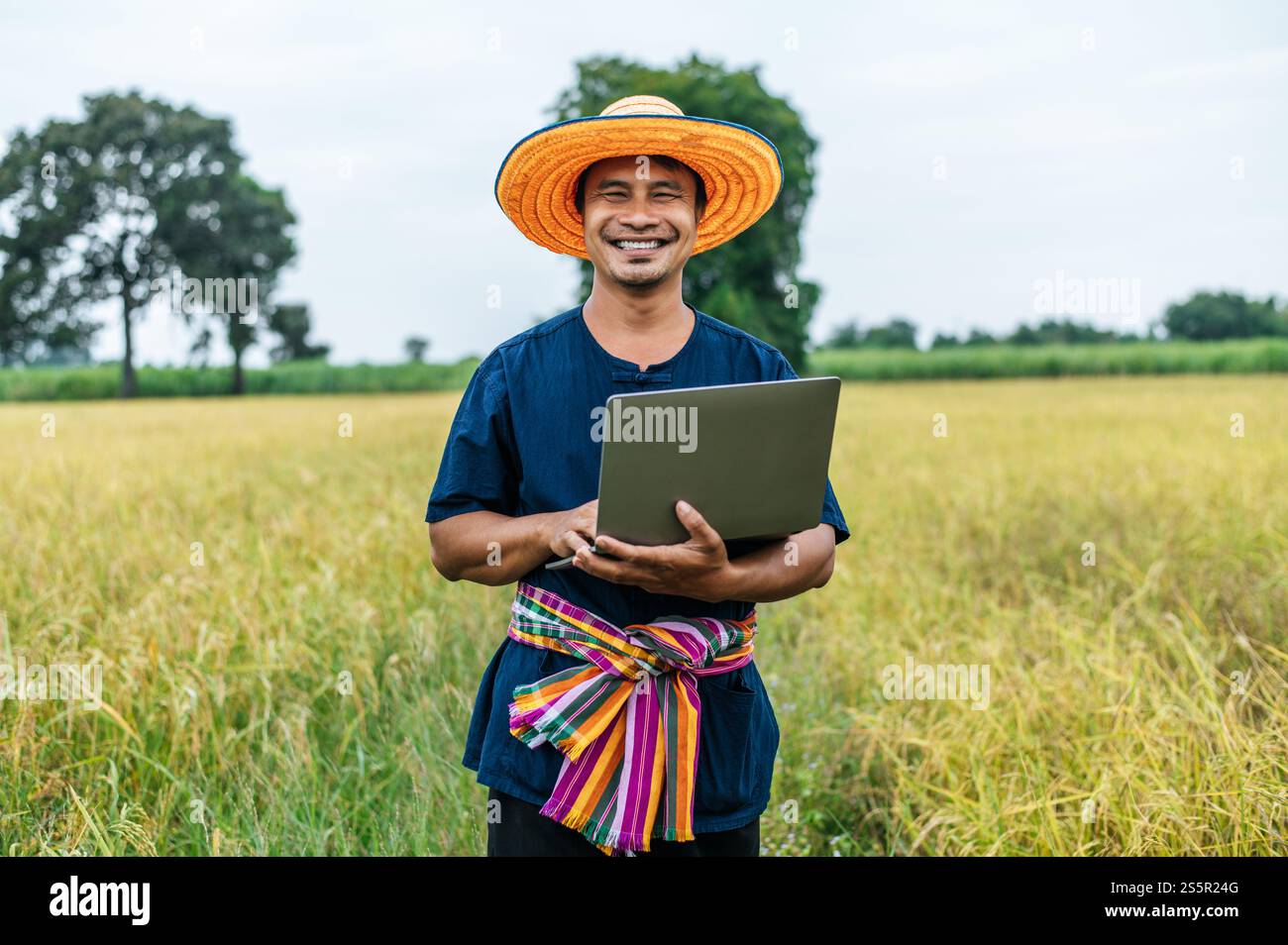 Homme fermier asiatique d'âge moyen avec Smart Farming technologie agricole et agriculture biologique, en utilisant un ordinateur portable pour la recherche dans le champ de riz Banque D'Images