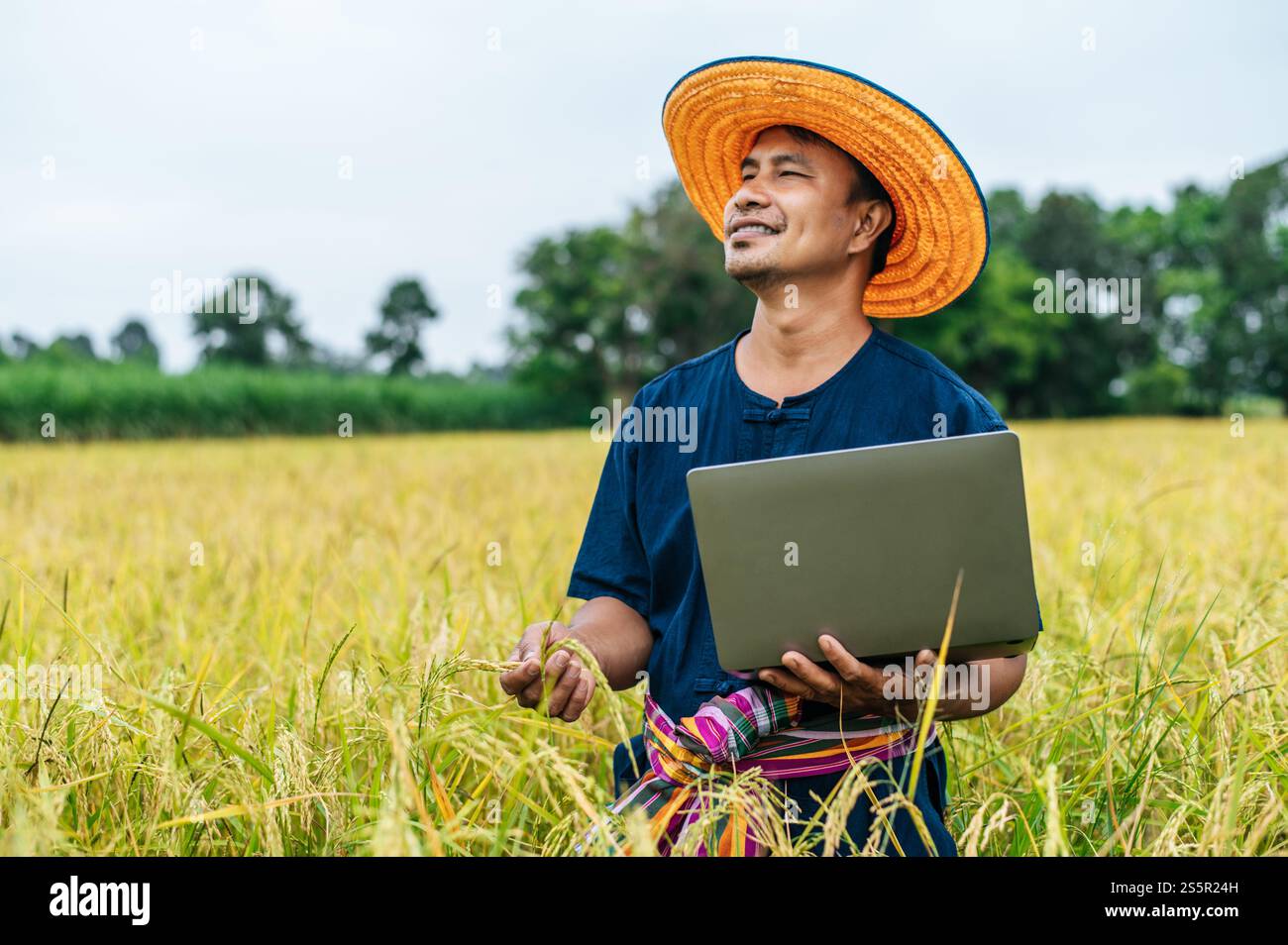 Homme fermier asiatique d'âge moyen avec Smart Farming technologie agricole et agriculture biologique, en utilisant un ordinateur portable pour la recherche dans le champ de riz Banque D'Images