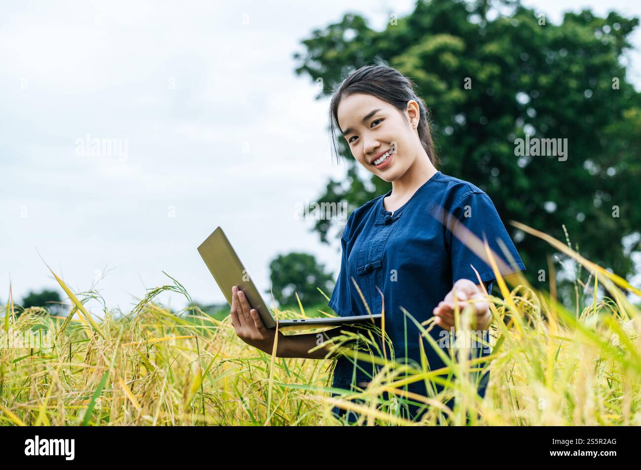 Agriculteur asiatique avec Smart Farming technologie agricole et agriculture biologique, en utilisant la recherche sur ordinateur portable dans le champ de riz biologique Banque D'Images