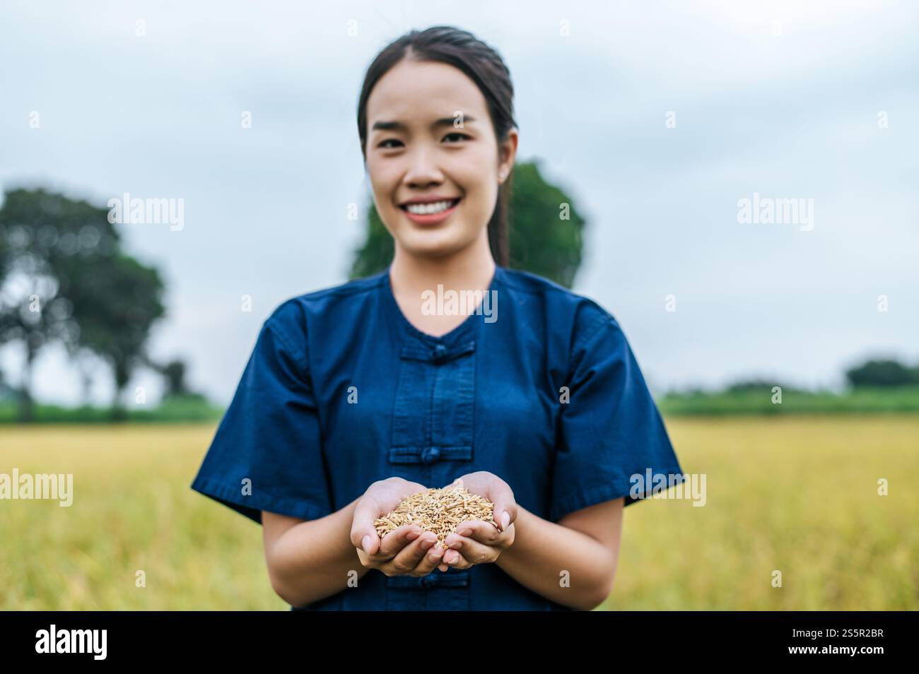 Focus sélectif deux mains de belle jeune agricultrice asiatique tenant du riz biologique, champ de riz flou sur fond, espace de copie Banque D'Images