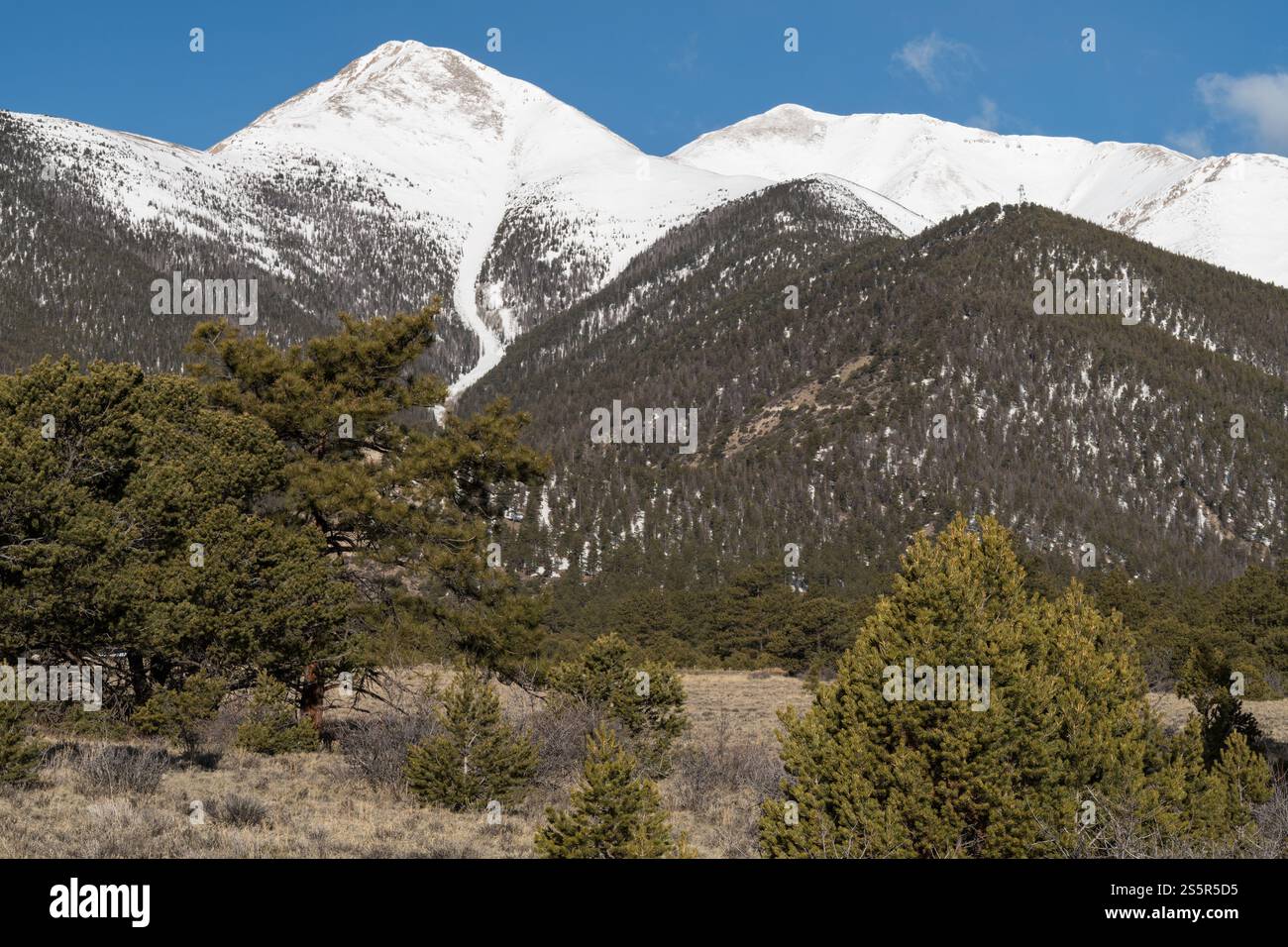 14 197 pieds Mt. Princeton en hiver, à l'ouest de Buena Visa Colorado. MT. Princeton est situé dans la forêt nationale de San Isabel, dans le centre du Colorado. Banque D'Images