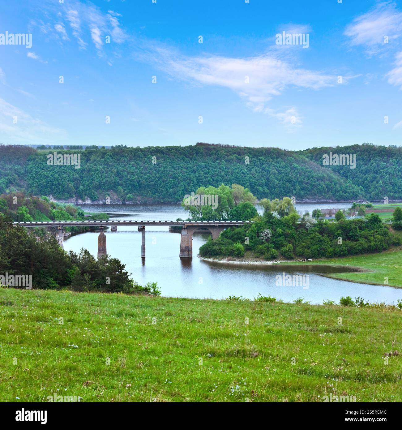 Pays du printemps Paysage avec rivière (Carpathian, Ukraine). Banque D'Images