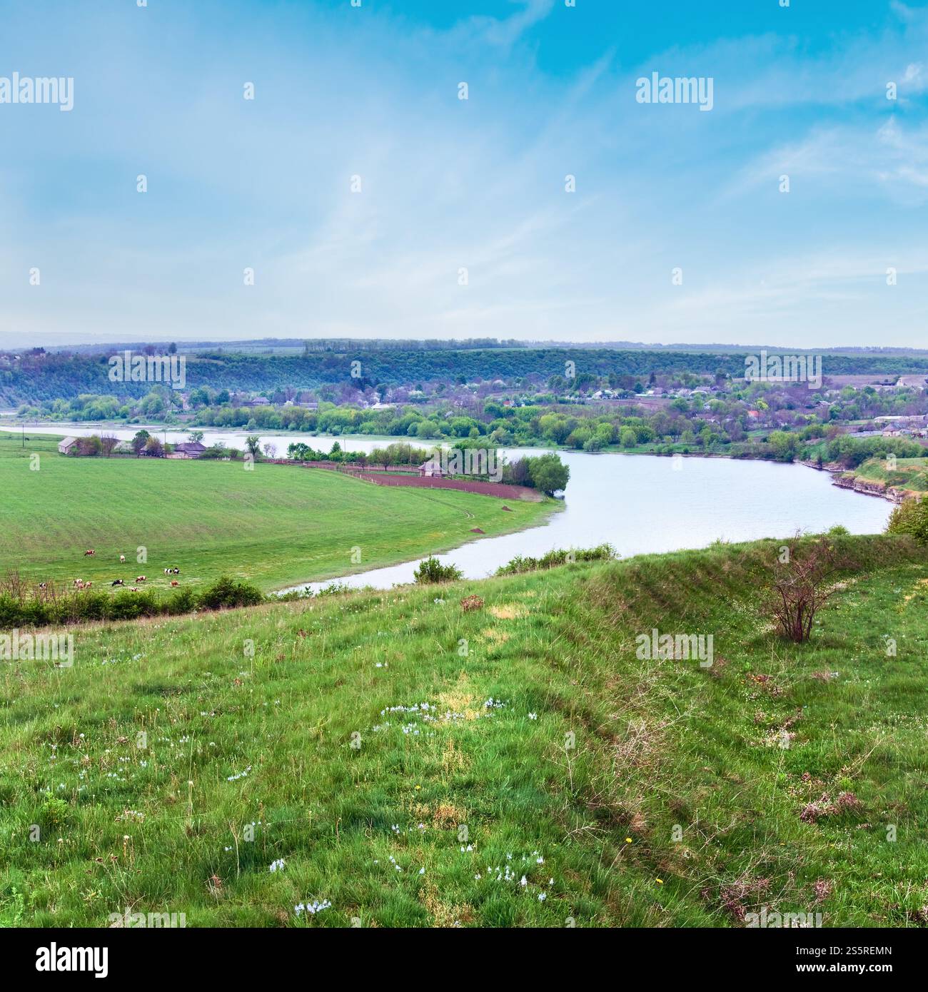 Pays du printemps Paysage avec rivière (Carpathian, Ukraine). Banque D'Images