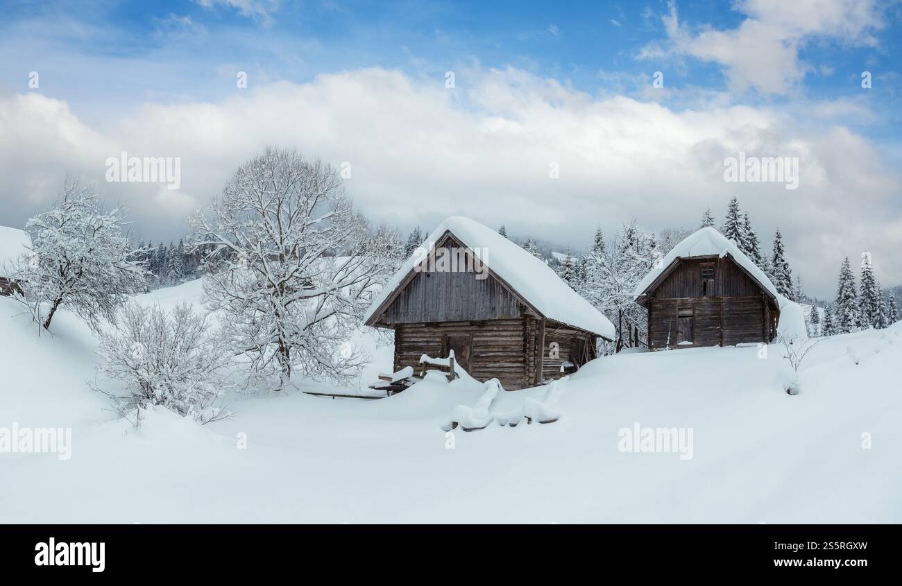 Deux hangars en bois en déneigement sur les pentes en hiver des montagnes carpathes ukrainiennes par temps nuageux. Banque D'Images