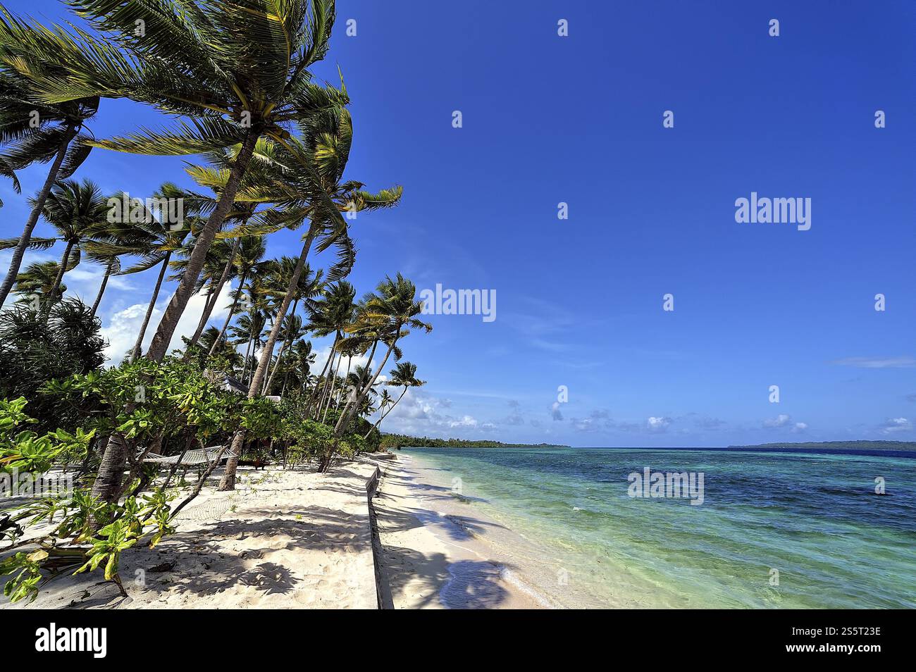 Une photo d'un beau complexe entouré par la nature Banque D'Images