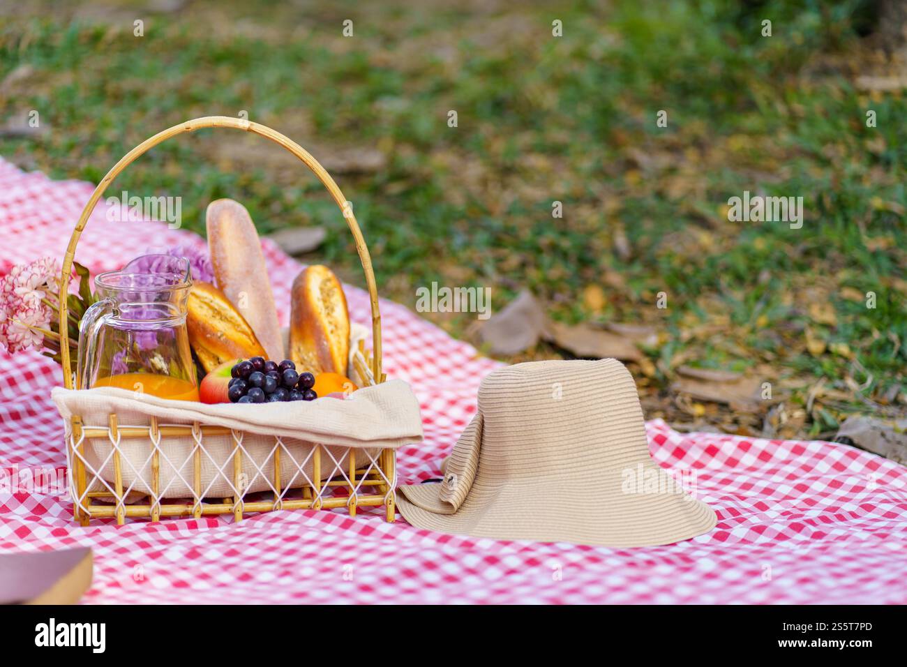Déjeuner pique-nique repas à l'extérieur du parc avec panier de pique-nique alimentaire. profitez de l'heure de pique-nique dans la nature du parc à l'extérieur Banque D'Images