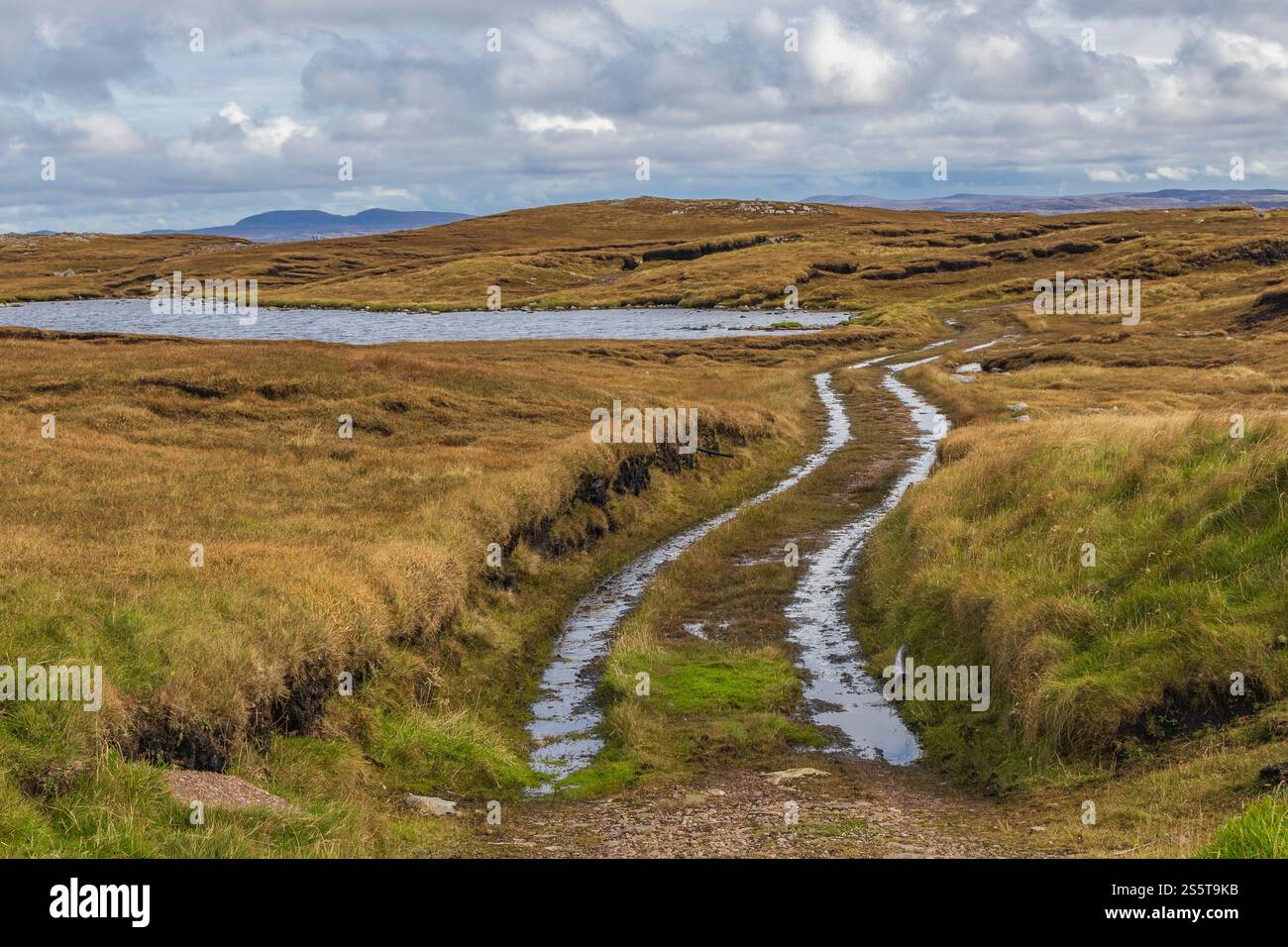 Écosse, Hébrides. Île de Lewis, Aird Uig. Chemin de terre ruiné jusqu'au Loch a' Rubha Chaoil. Landes. Banque D'Images