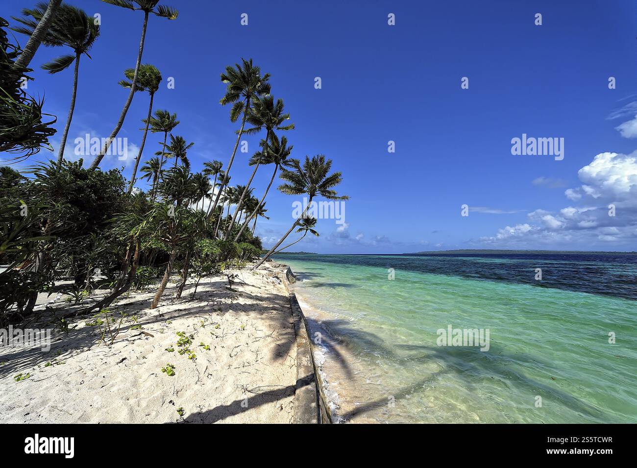 Une photo d'un beau complexe entouré par la nature Banque D'Images