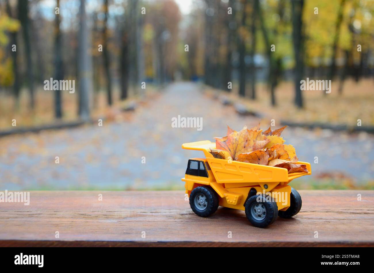 Un petit camion jaune jouet est chargé de feuilles jaunes tombées. La voiture se tient sur une surface en bois sur un fond d'un parc d'automne flou. Banque D'Images
