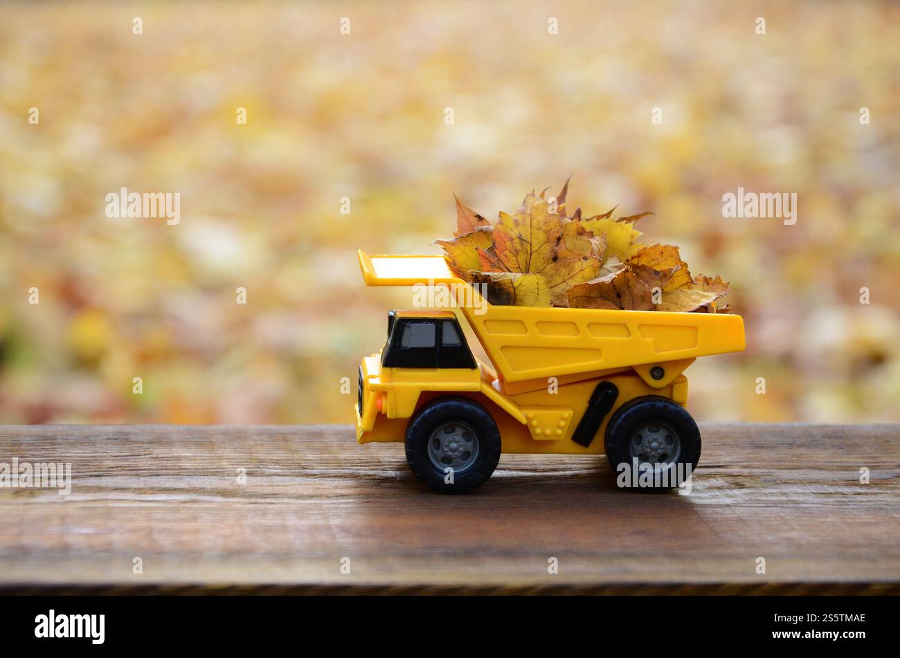 Un petit camion jaune jouet est chargé de feuilles jaunes tombées. La voiture se tient sur une surface en bois sur un fond d'un parc d'automne flou. Banque D'Images