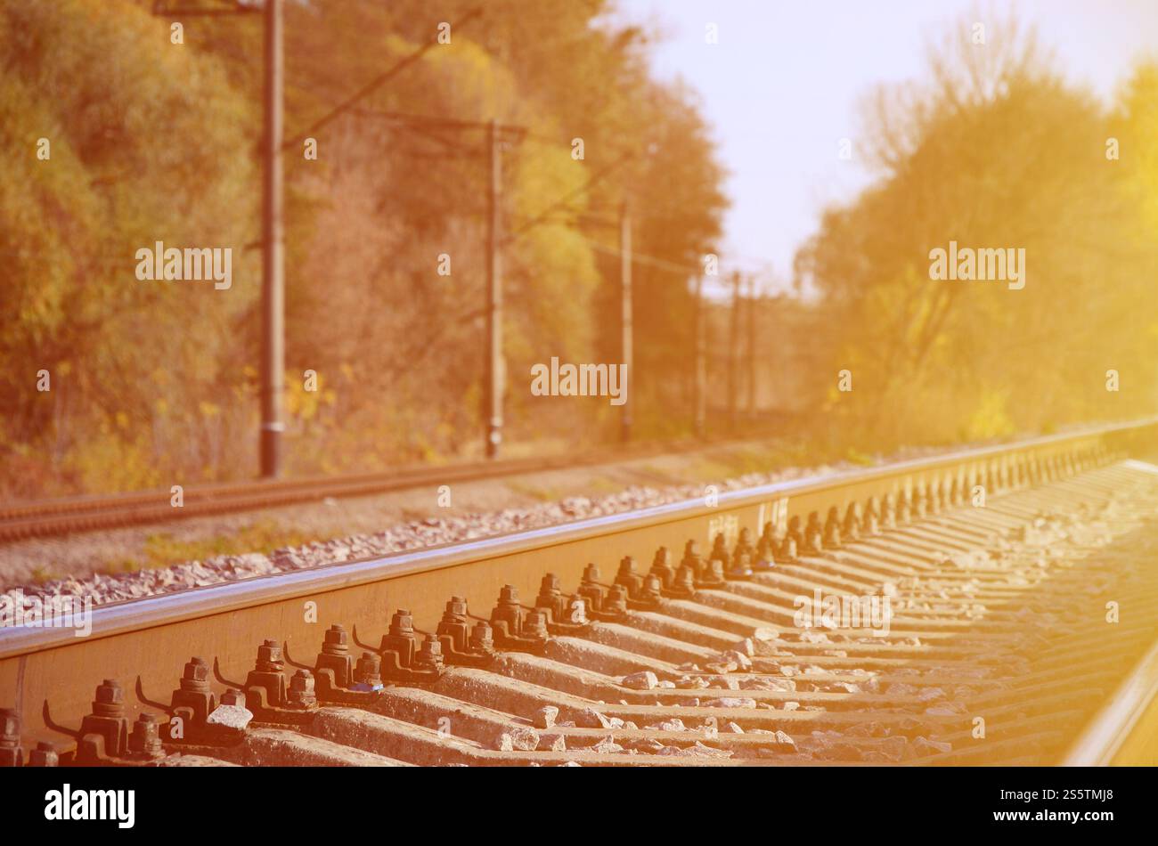 Automne paysage industriel. Dans la distance de recul de fer parmi les arbres d'automne jaune et vert Banque D'Images