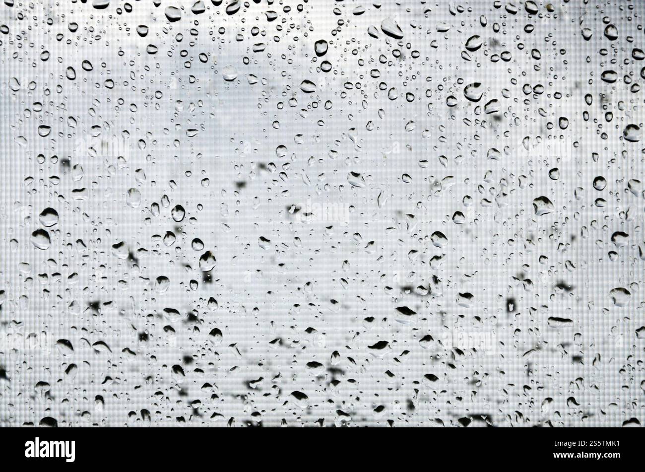 Image en arrière-plan des gouttes de pluie sur une vitre, qui est protégé par une moustiquaire. Macro photo avec une faible profondeur de champ Banque D'Images