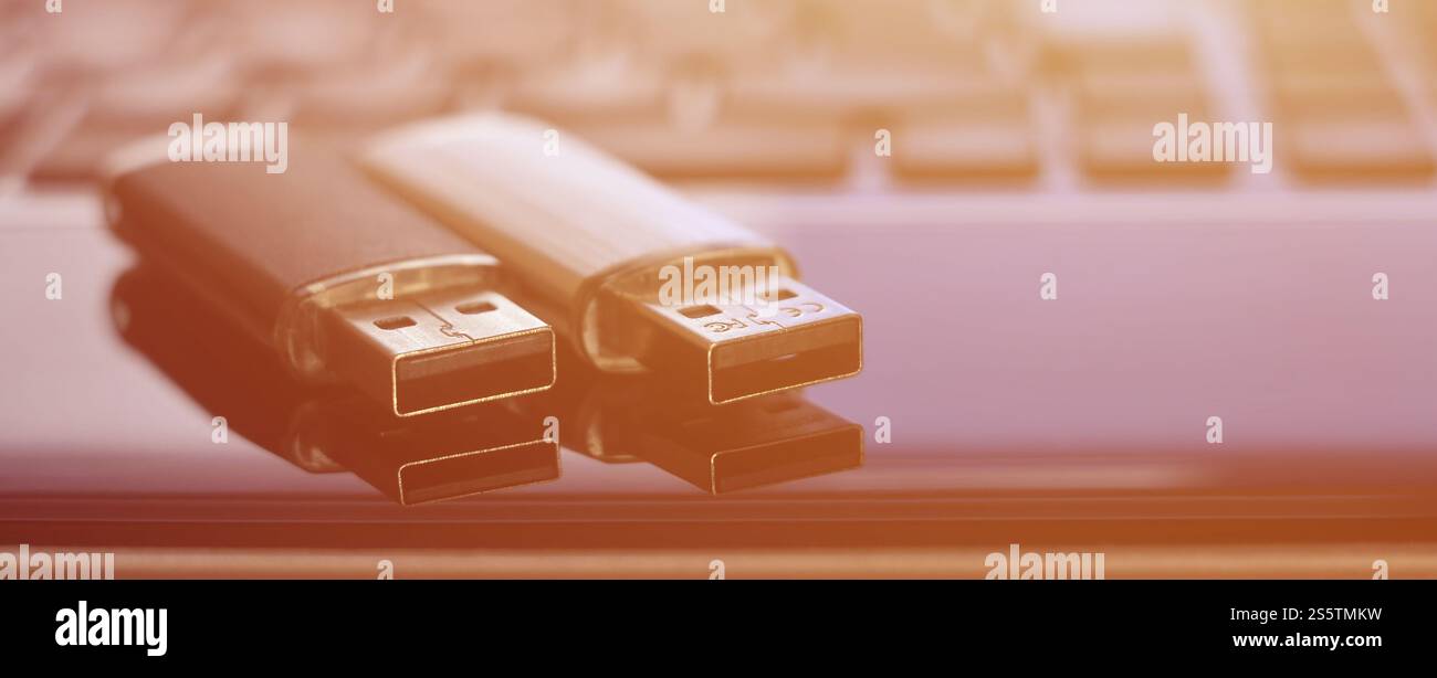 Cartes flash USB couchées sur le boîtier noir de l'ordinateur portable devant son clavier. Stockage de mémoire virtuelle avec sortie USB. Cartes mémoire sur le clavier de l'ordinateur portable Banque D'Images
