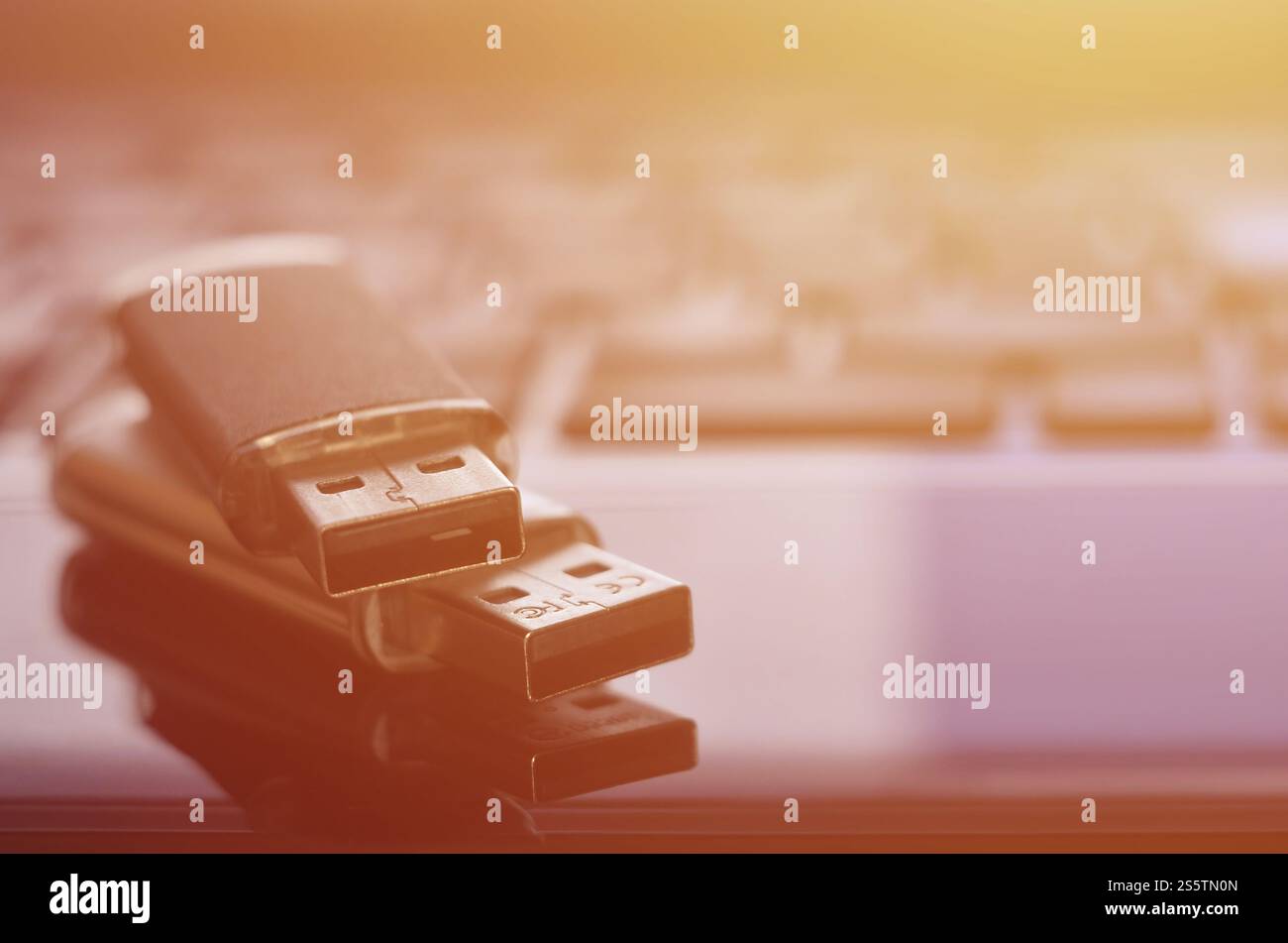 Cartes flash USB couchées sur le boîtier noir de l'ordinateur portable devant son clavier. Stockage de mémoire virtuelle avec sortie USB. Cartes mémoire sur le clavier de l'ordinateur portable Banque D'Images