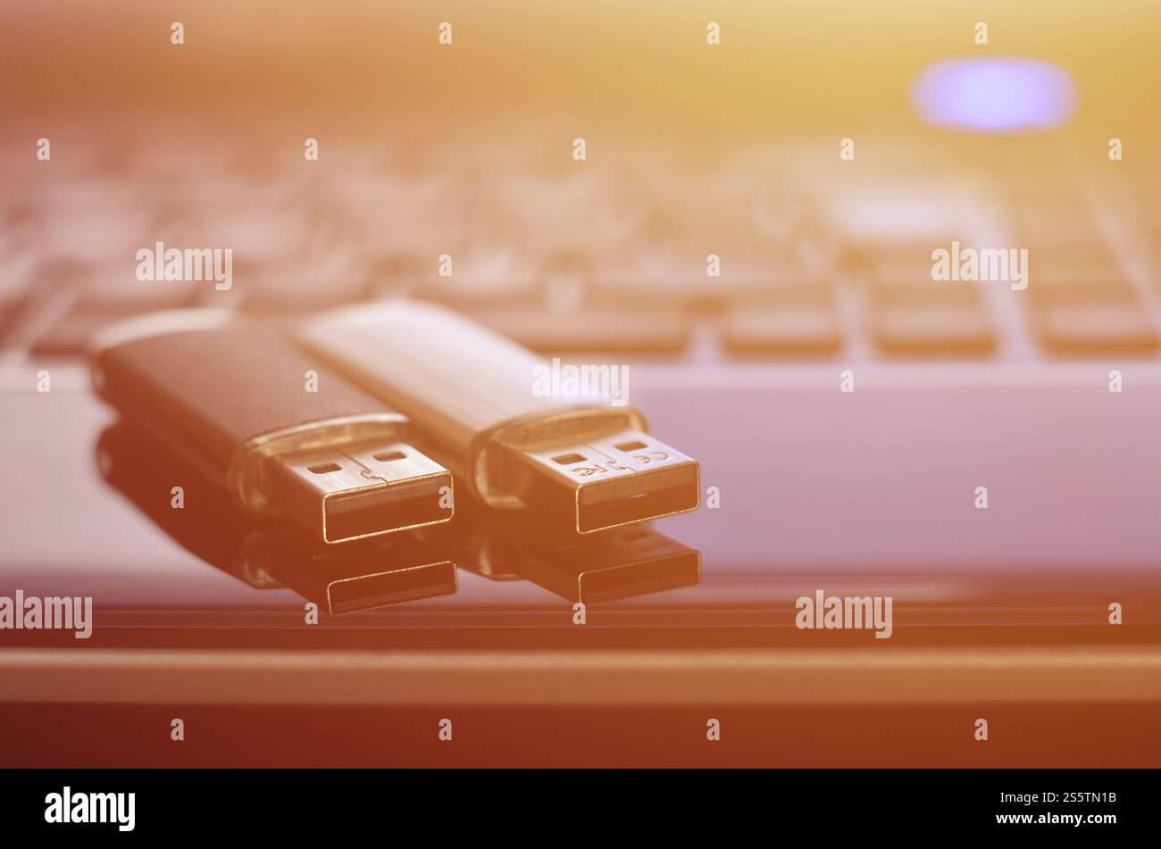 Cartes flash USB couchées sur le boîtier noir de l'ordinateur portable devant son clavier. Stockage de mémoire virtuelle avec sortie USB. Cartes mémoire sur le clavier de l'ordinateur portable Banque D'Images