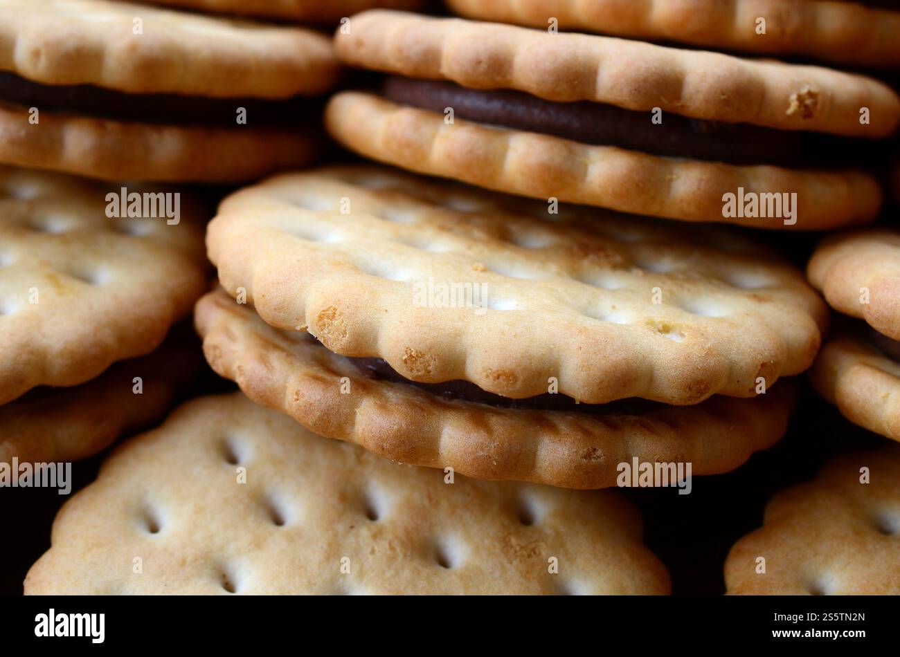 Image détaillée des biscuits sandwich ronds avec garniture à la noix de coco. Image d'arrière-plan d'un gros plan de plusieurs gâteries pour le thé Banque D'Images
