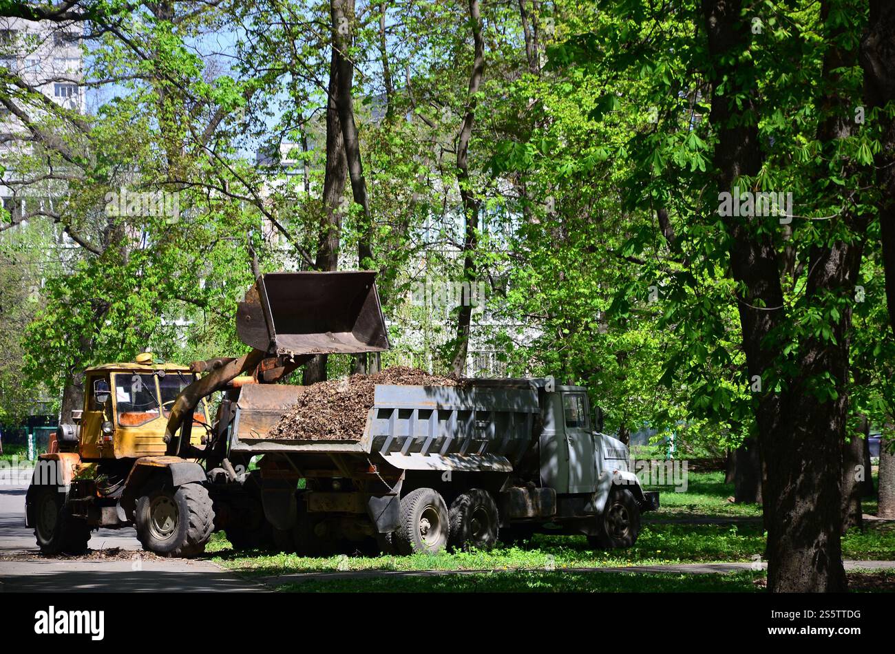 L'équipe d'amélioration de la ville enlève les feuilles mortes dans le parc avec une pelle et un camion. Travail saisonnier régulier sur l'amélioration des lieux publics Banque D'Images