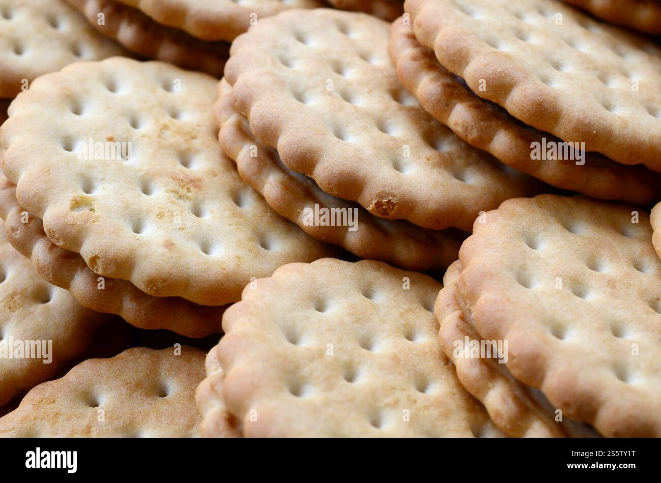 Image détaillée des biscuits sandwich ronds avec garniture à la noix de coco. Image d'arrière-plan d'un gros plan de plusieurs gâteries pour le thé Banque D'Images