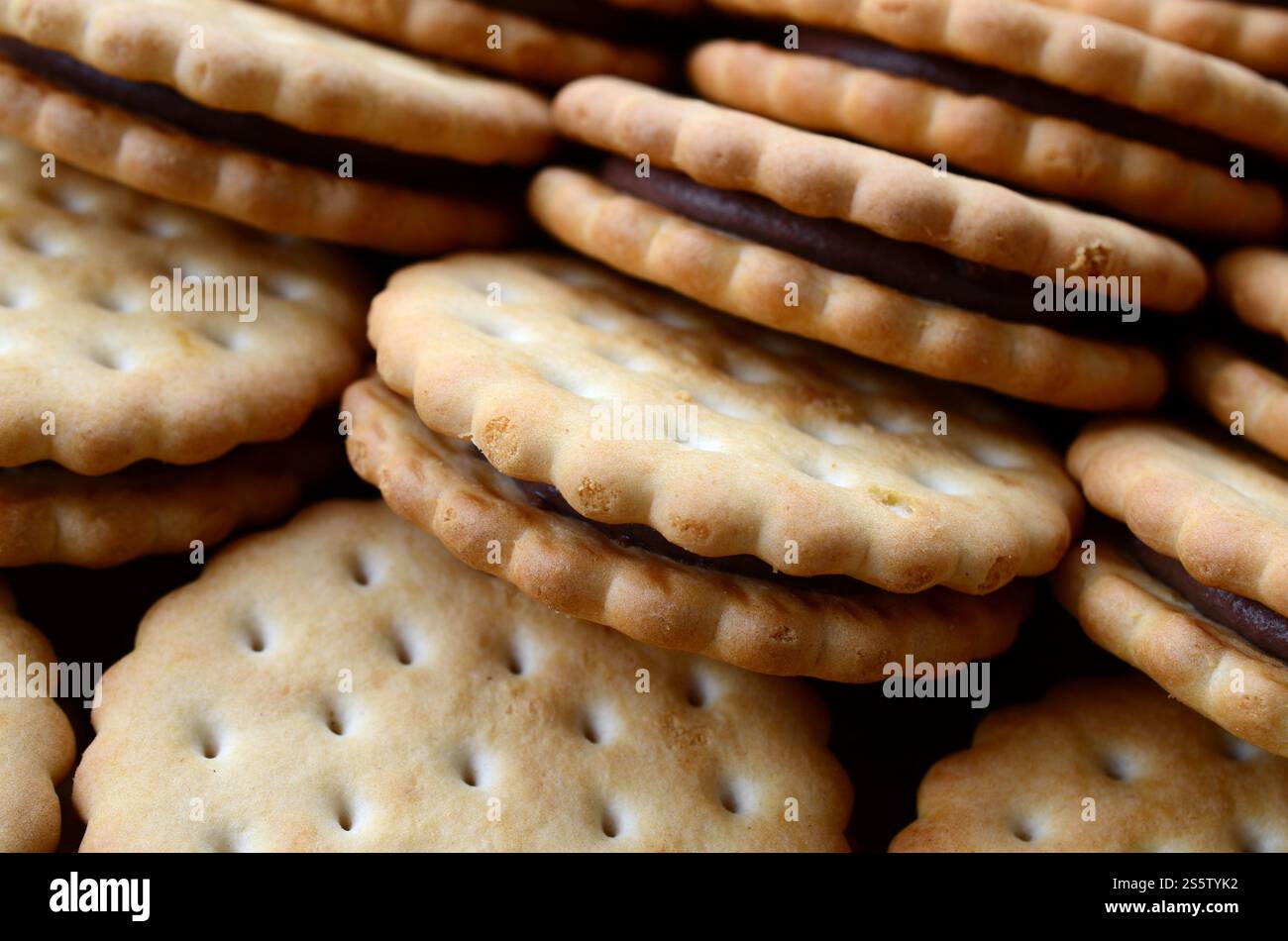 Image détaillée des biscuits sandwich ronds avec garniture à la noix de coco. Image d'arrière-plan d'un gros plan de plusieurs gâteries pour le thé Banque D'Images
