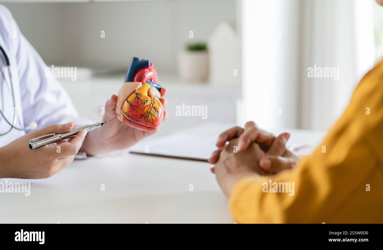 Consultation cardiologique traitement des cardiopathies. Médecin cardiologue lors d'une consultation montrant un modèle anatomique de coeur humain avec patient âgé Banque D'Images