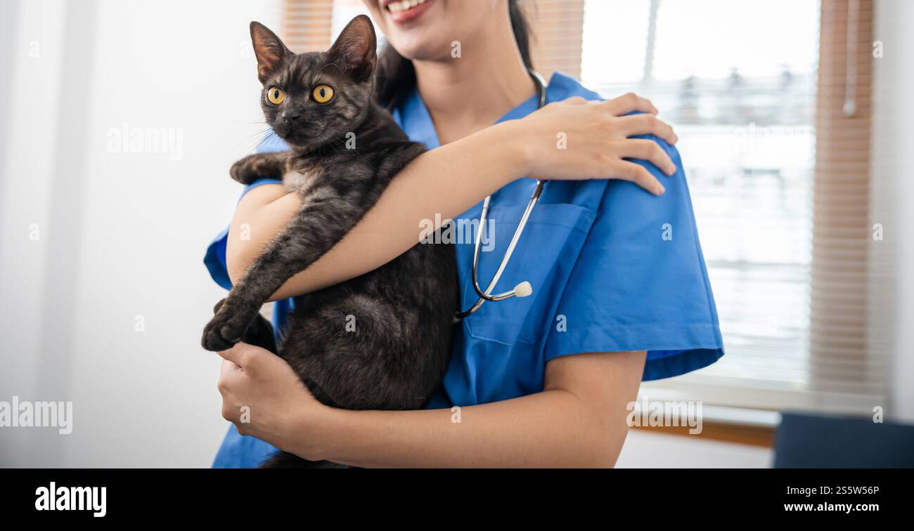 Chirurgien vétérinaire. Chat sur la table d'examen de la clinique vétérinaire. Soins vétérinaires. Vétérinaire médecin et chat. Banque D'Images