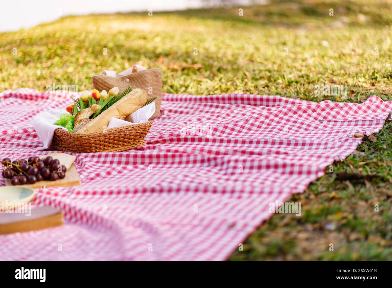 Déjeuner pique-nique repas à l'extérieur du parc avec panier de pique-nique alimentaire. profitez de l'heure de pique-nique dans la nature du parc à l'extérieur Banque D'Images