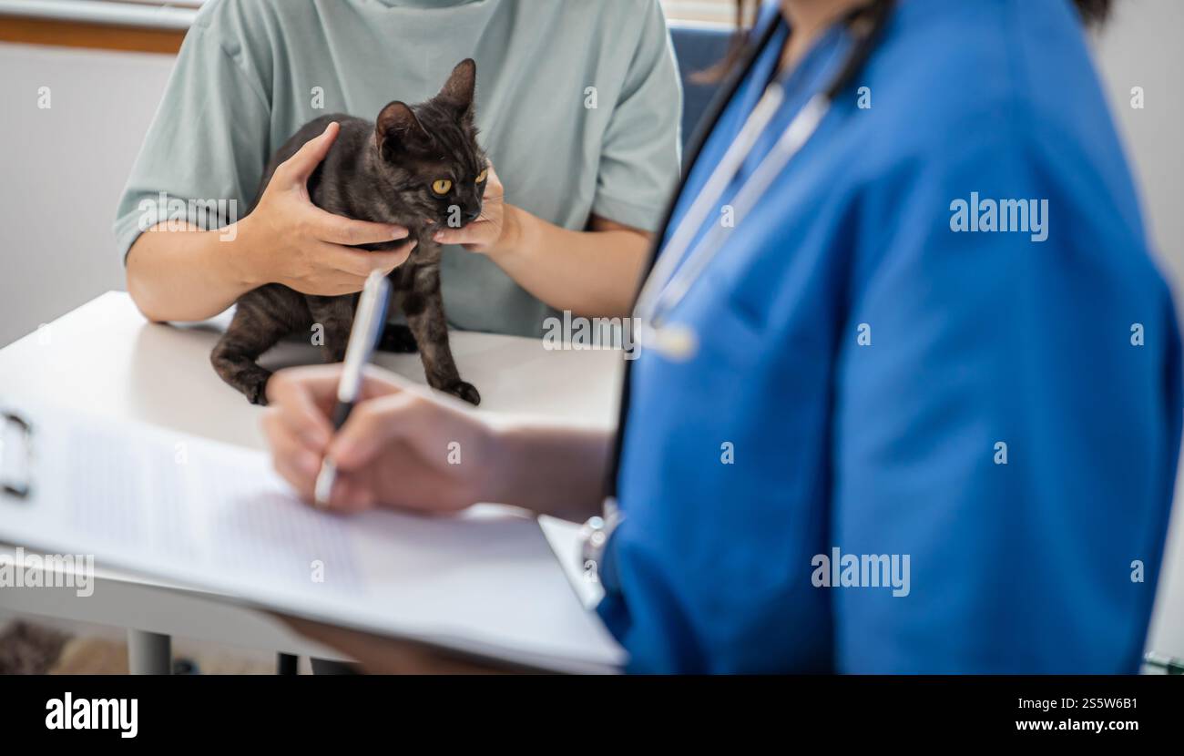 Vétérinaire professionnel aide le chat. chat propriétaire tenant l'animal sur les mains. Chat sur la table d'examen de la clinique vétérinaire. Soins vétérinaires. Médecin vétérinaire et Banque D'Images