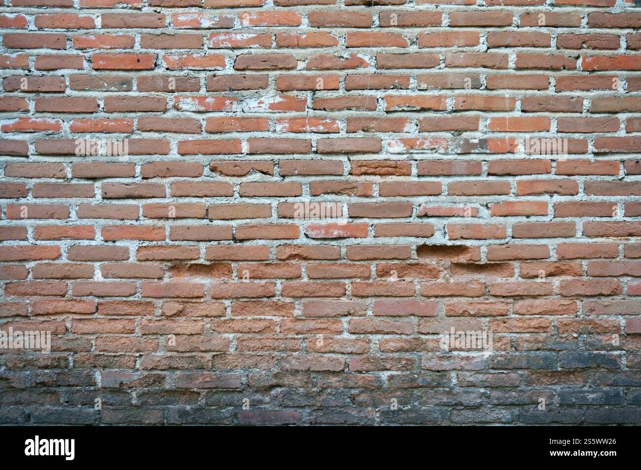 Arrière-plan de vieux mur de briques vintage vieux fond de texture de mur de briques rouges Banque D'Images