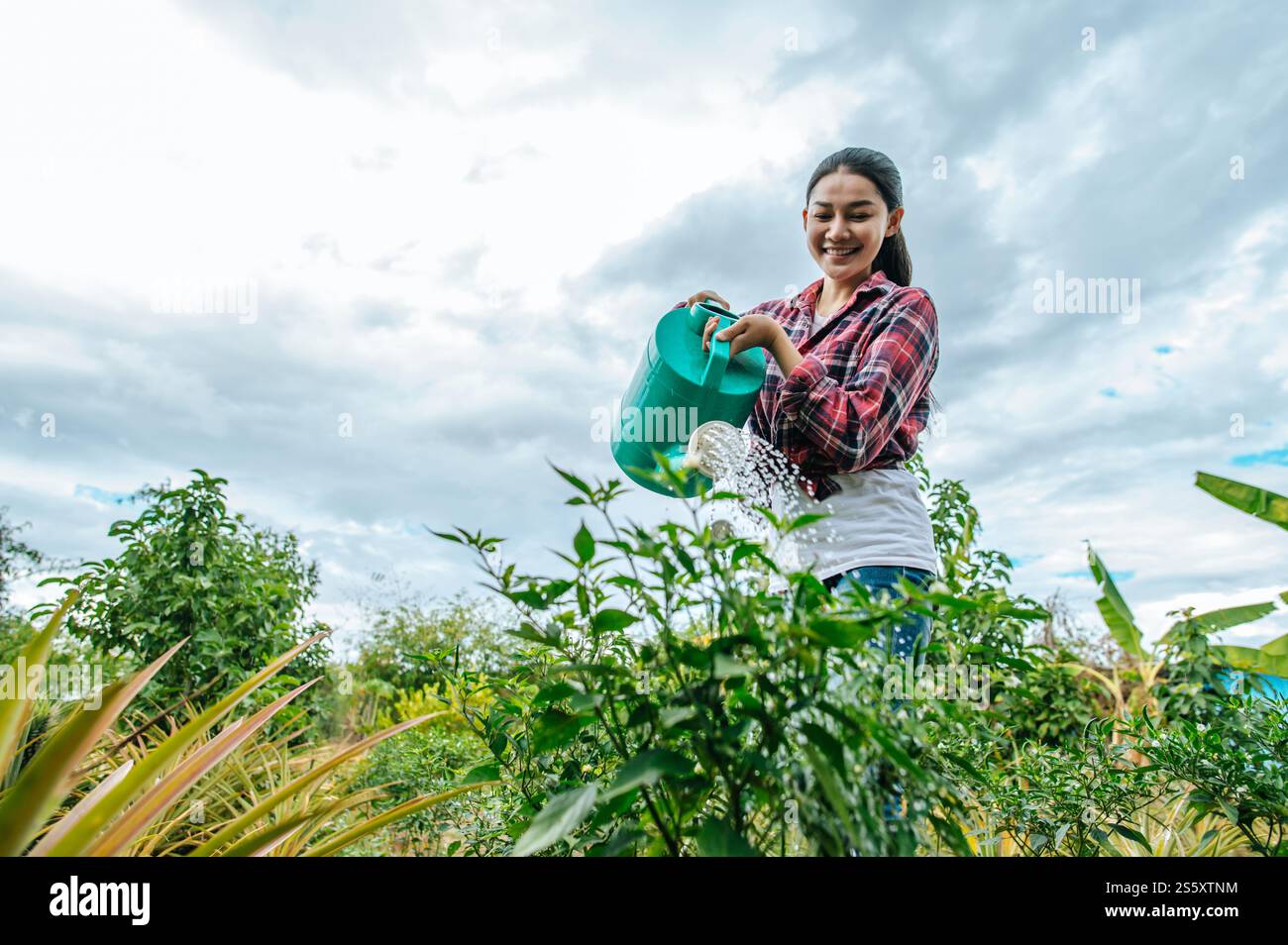 Plante d'arrosage jeune agricultrice asiatique dans le champ vert. Technologies modernes dans la gestion de l'agriculture et le concept agro-industriel. Banque D'Images