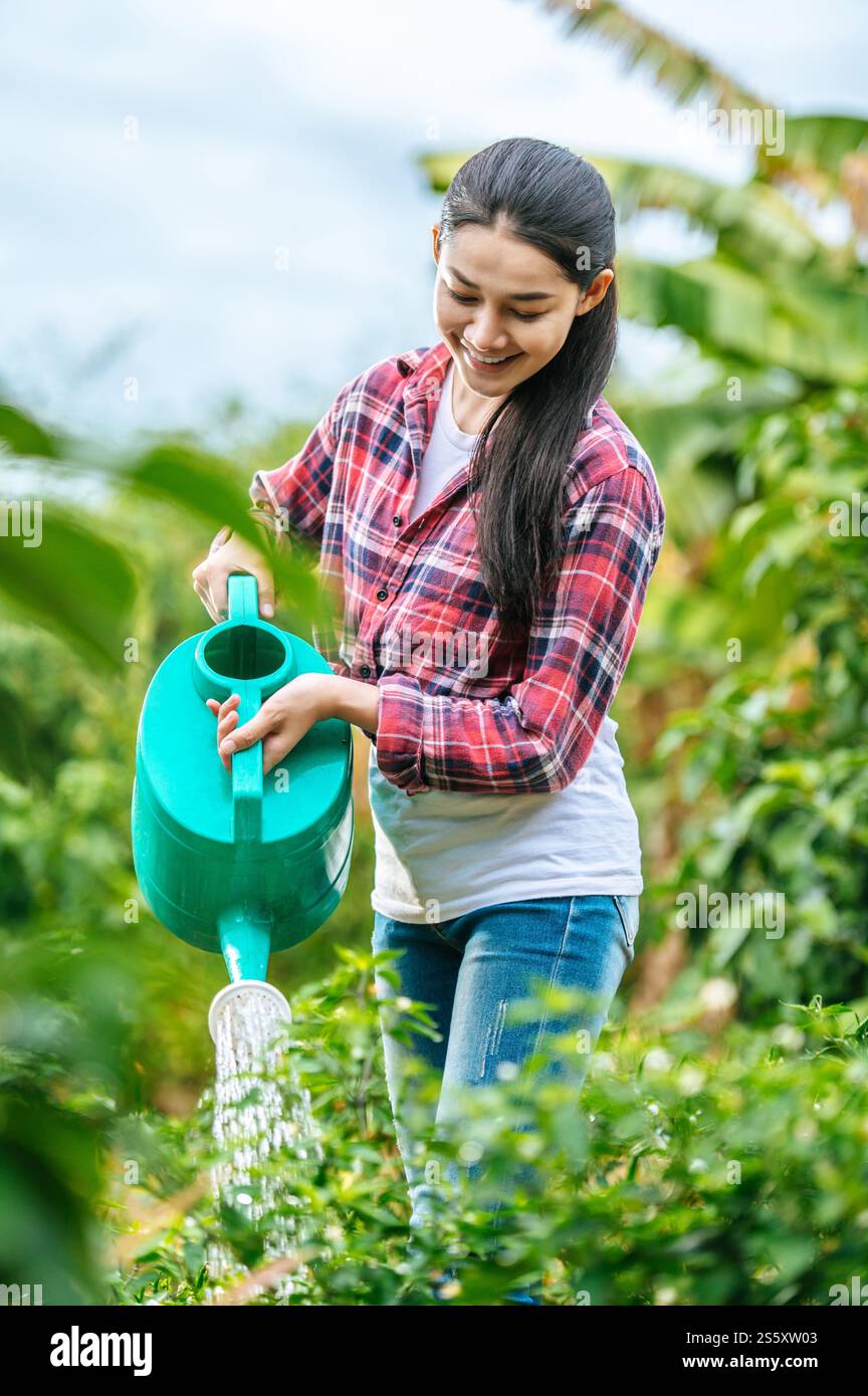 Plante d'arrosage jeune agricultrice asiatique dans le champ vert. Technologies modernes dans la gestion de l'agriculture et le concept agro-industriel. Banque D'Images