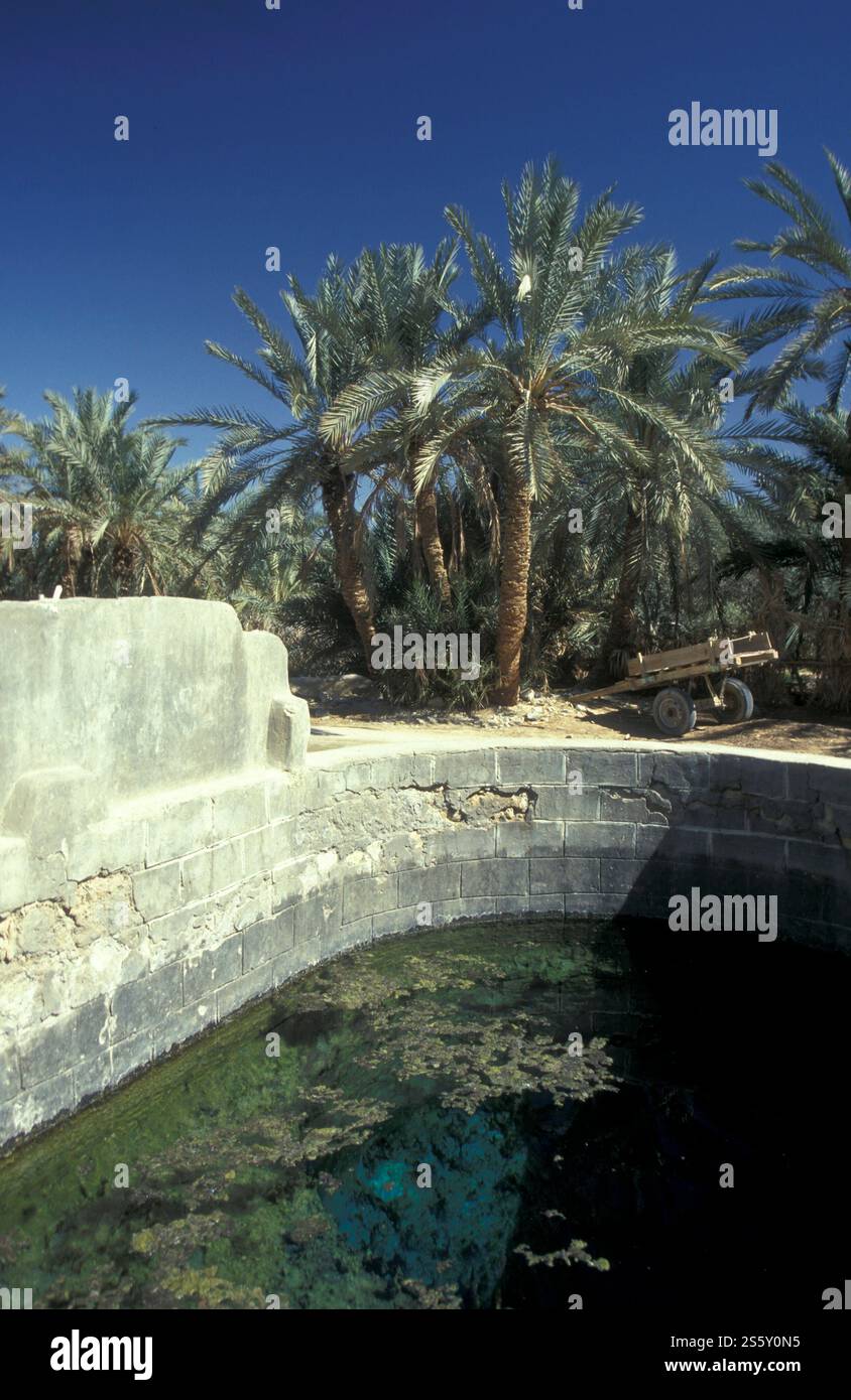 Une source d'eau douce dans l'ancien village de Siwa en Libye ou désert d'Egypte en Afrique du Nord. Égypte, Siwa, mars 2000. AFRIQUE ÉGYPTE Banque D'Images