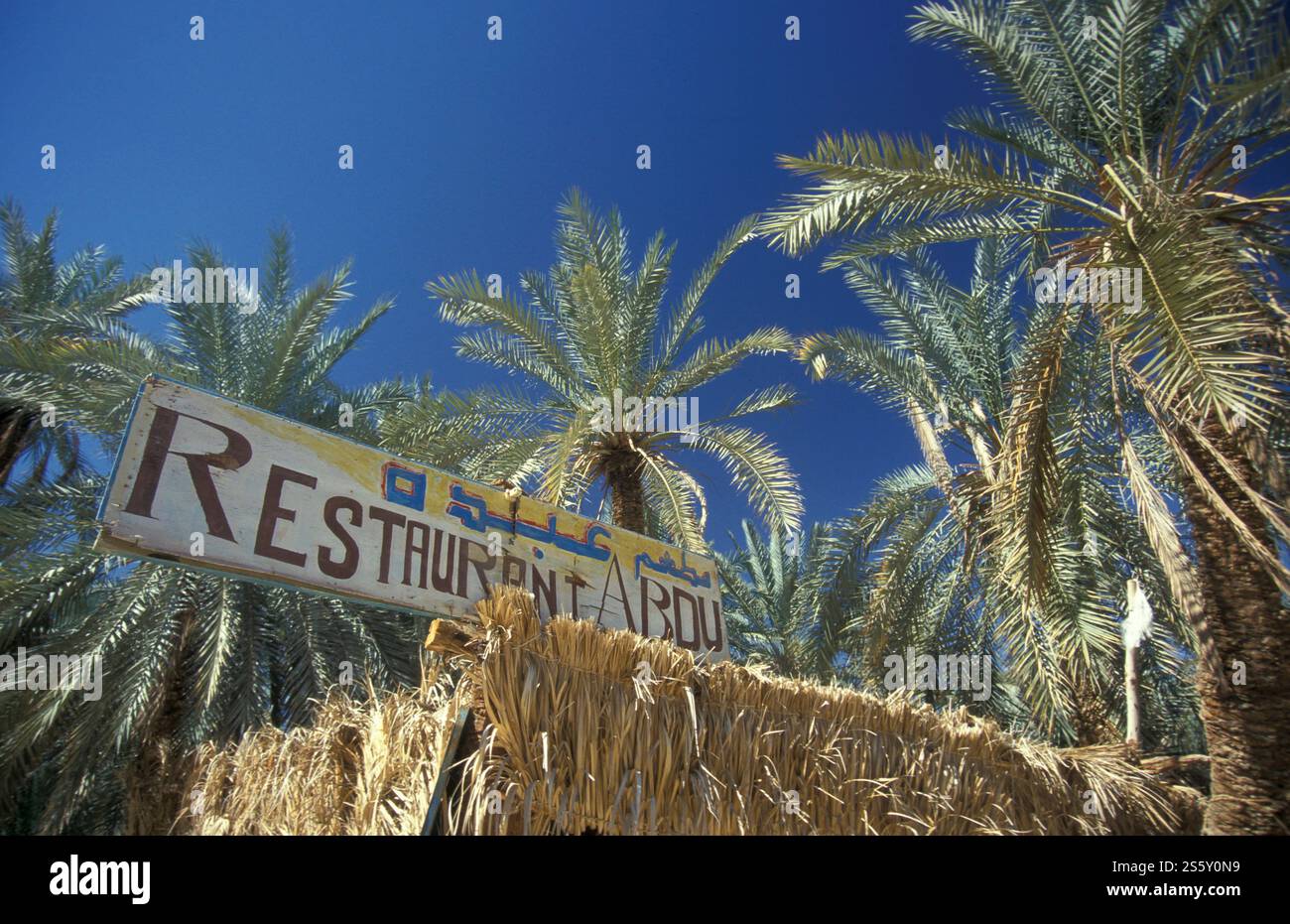 Un restaurant à la source d'eau douce dans l'ancien village de Siwa en Libye ou désert d'Egypte en Afrique du Nord. Égypte, Siwa, mars 2000. Banque D'Images