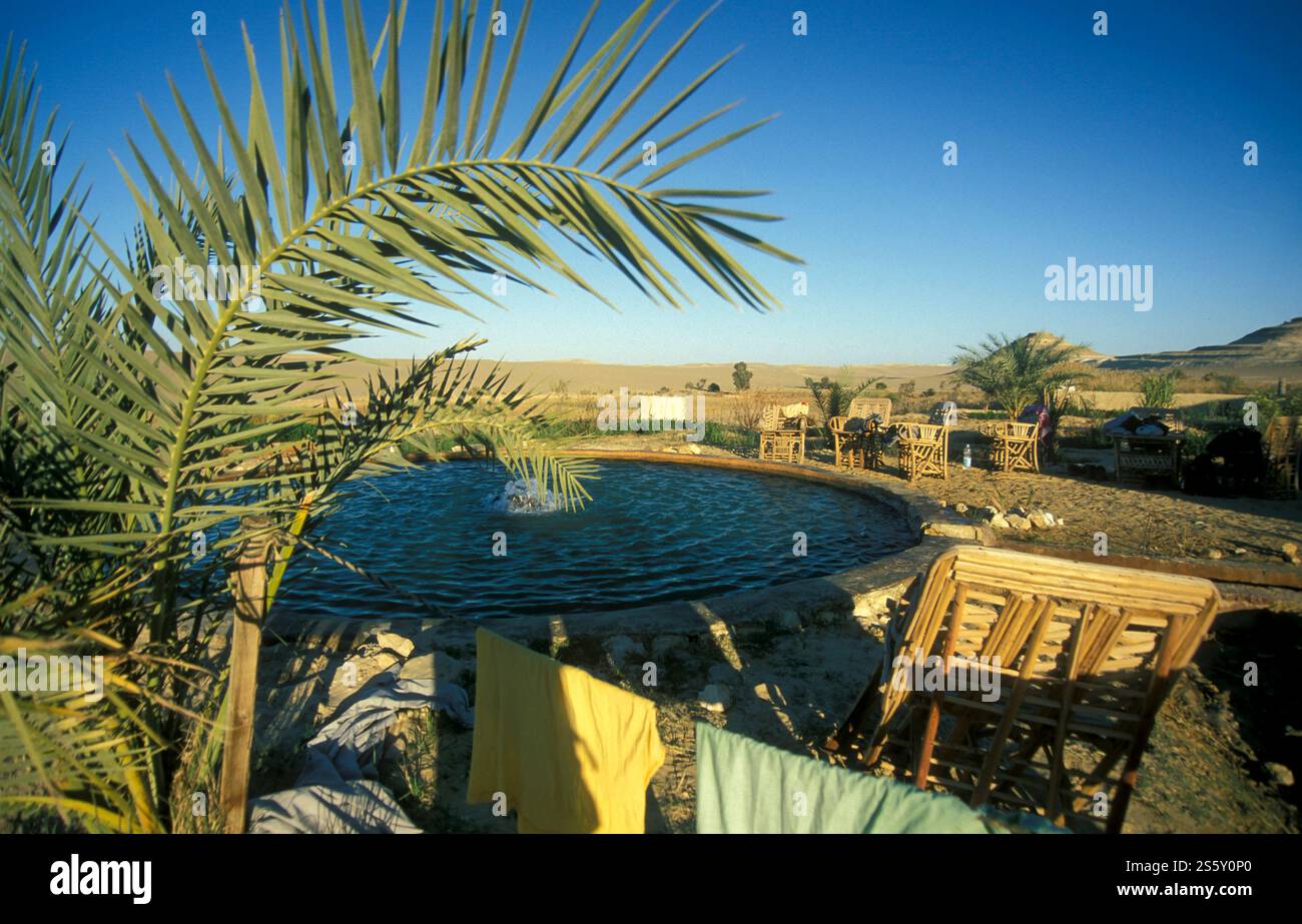 Une source d'eau douce dans l'ancien village de Siwa en Libye ou désert d'Egypte en Afrique du Nord. Égypte, Siwa, mars 2000. AFRIQUE ÉGYPTE Banque D'Images