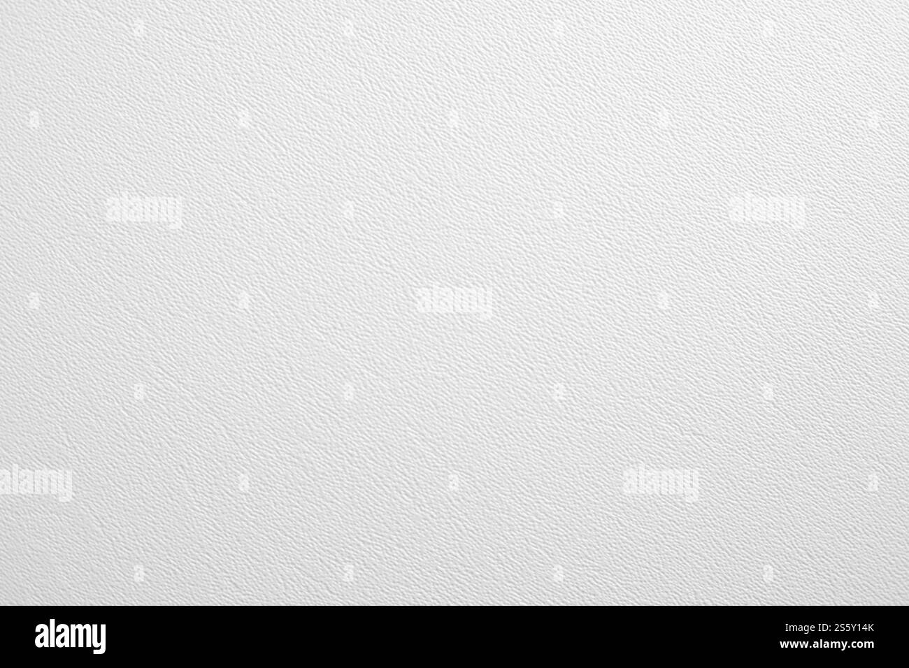 La texture en ciment blanc avec motif naturel pour le fond Banque D'Images