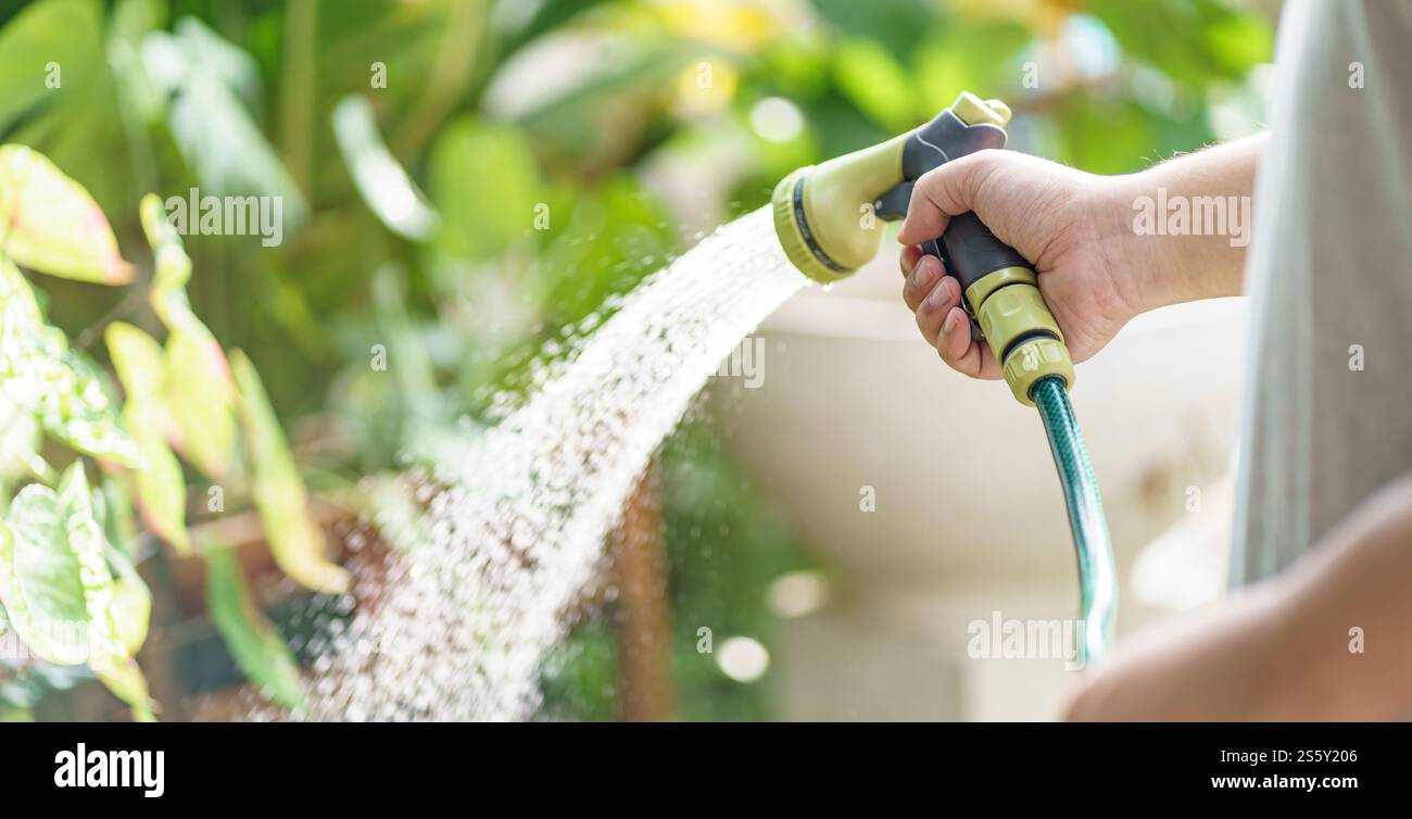 Homme arrosant des plantes dans son jardin. Jardinage urbain arrosage des légumes frais nature et soins des plantes Banque D'Images