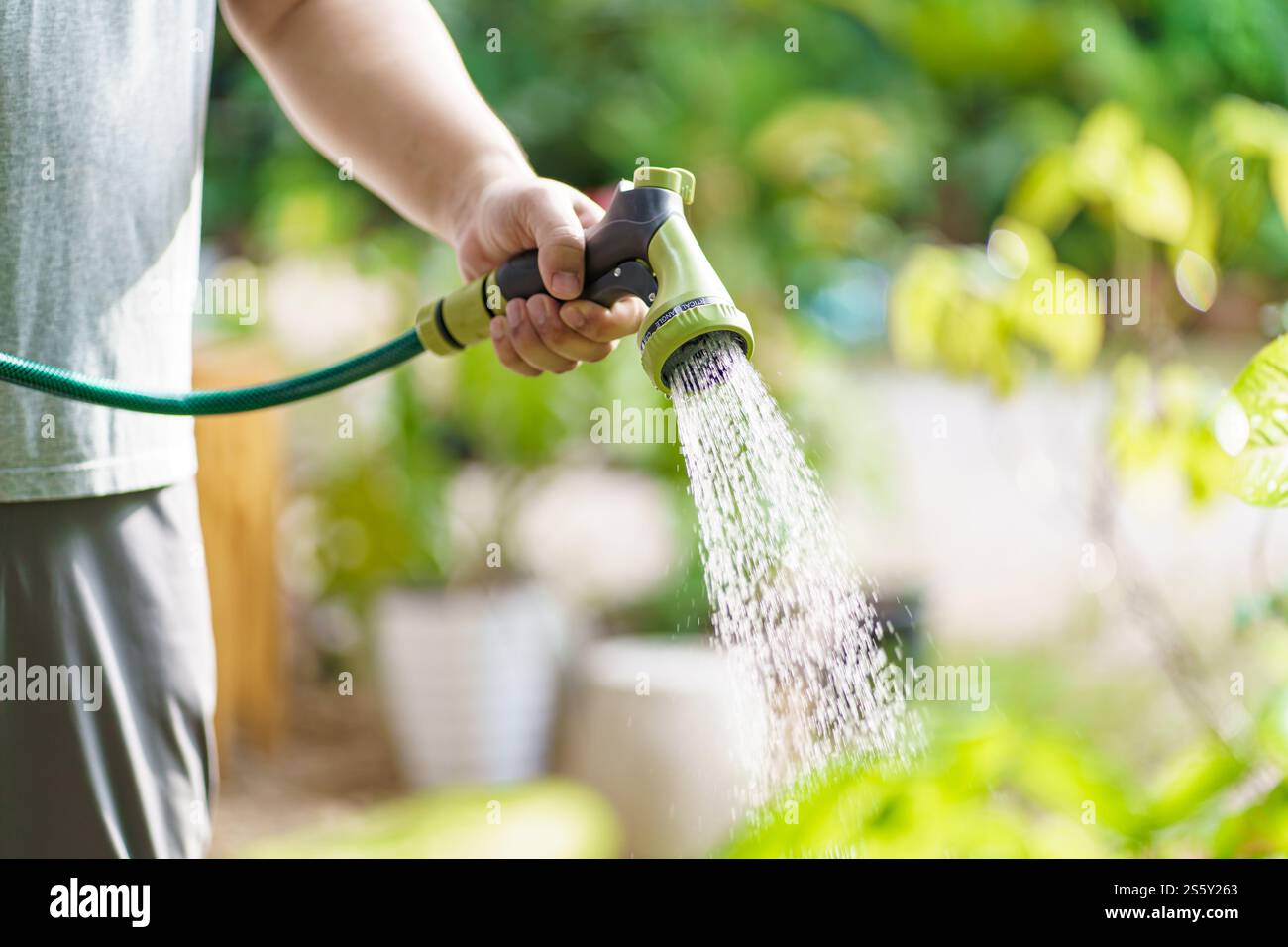 Homme arrosant des plantes dans son jardin. Jardinage urbain arrosage des légumes frais nature et soins des plantes Banque D'Images