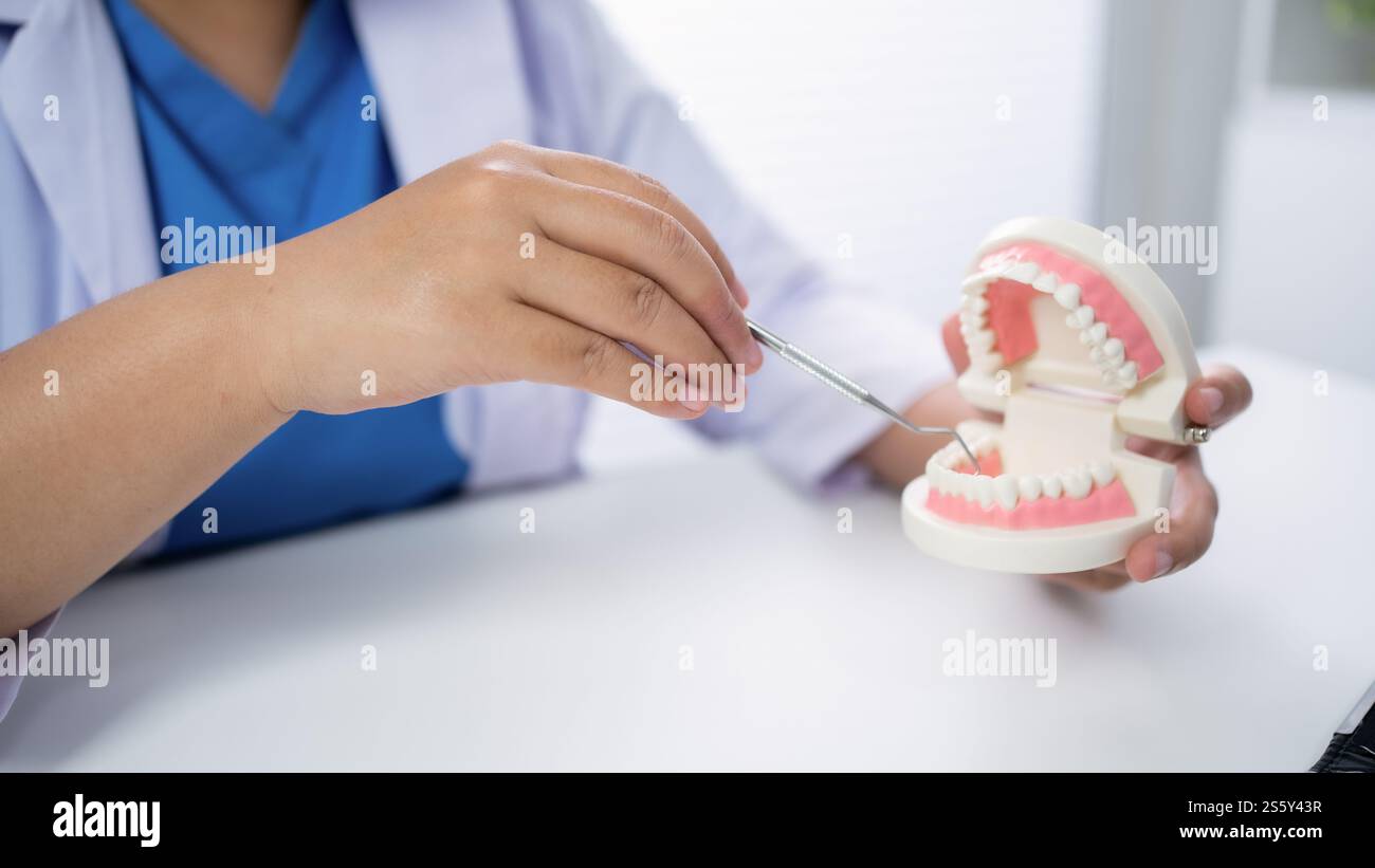 Dentiste à la clinique dentaire White Healthy dent avec modèle dentaire chez les chirurgiens buccaux discutant de la radiographie de la mâchoire sur la médecine des comprimés médecine de la chirurgie buccale Banque D'Images