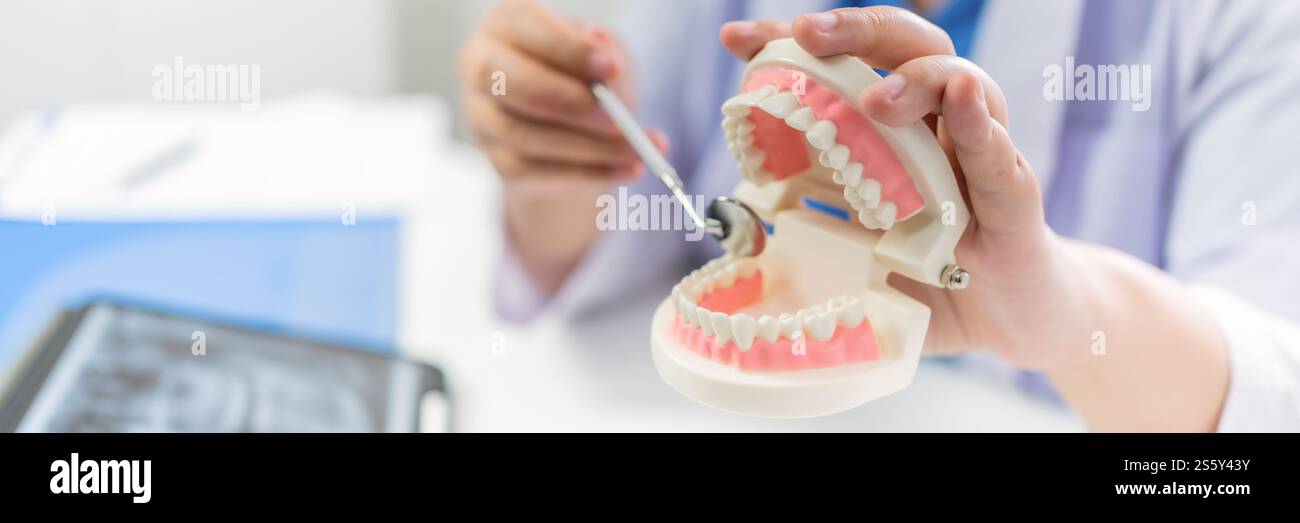 Dentiste à la clinique dentaire White Healthy dent avec modèle dentaire chez les chirurgiens buccaux discutant de la radiographie de la mâchoire sur la médecine des comprimés médecine de la chirurgie buccale Banque D'Images