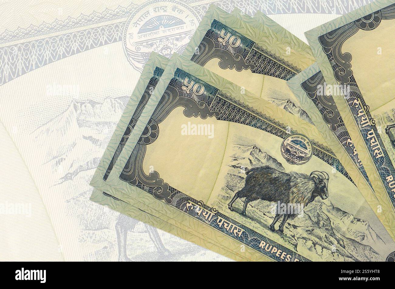 50 billets de roupies népalaises se trouve dans la pile sur fond de gros billet de banque semi-transparent. Présentation abstraite de la monnaie nationale. Concept commercial. Banque D'Images